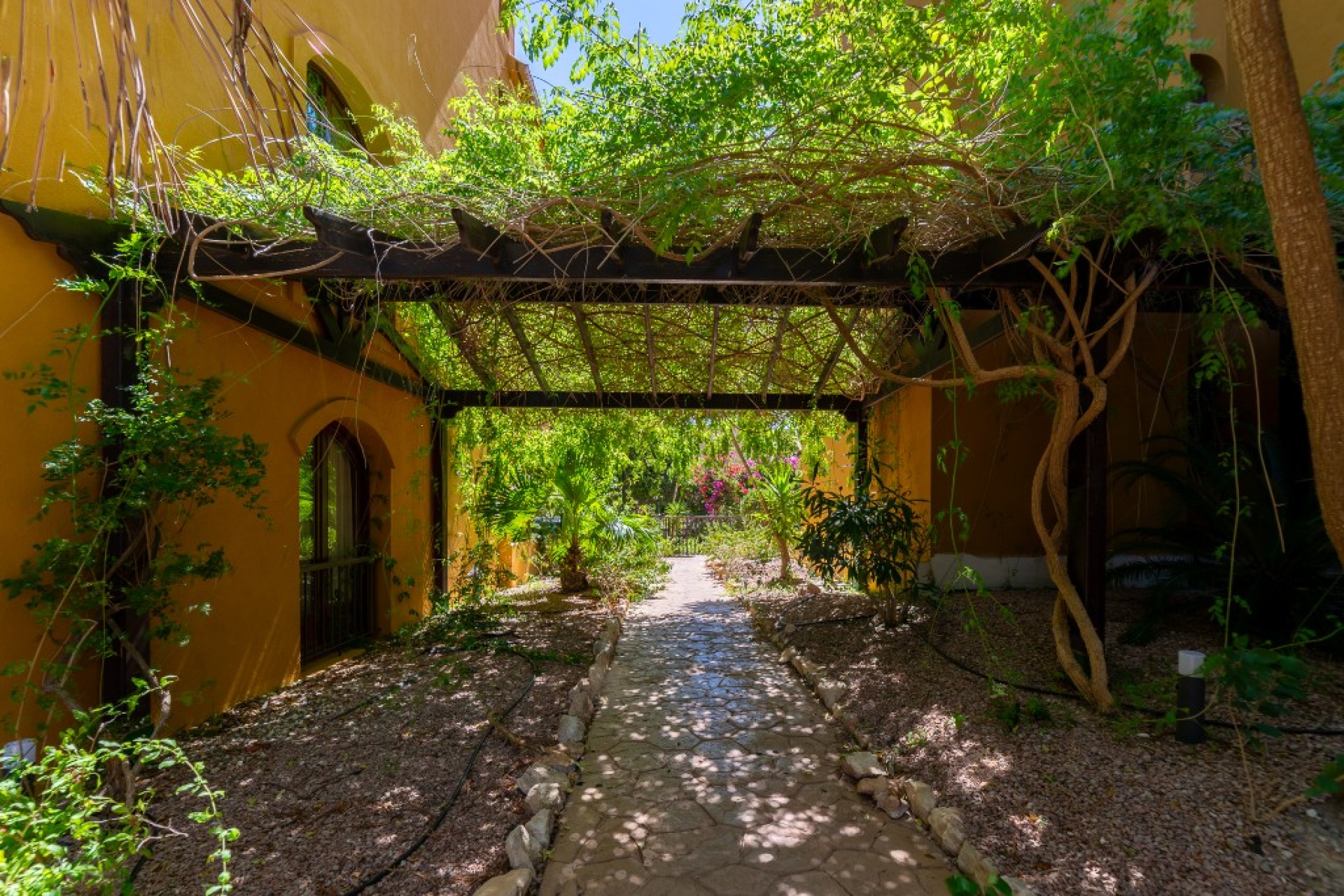 Herverkoop - 1. Appartement / flat - Punta Prima - Costa Blanca Zuid