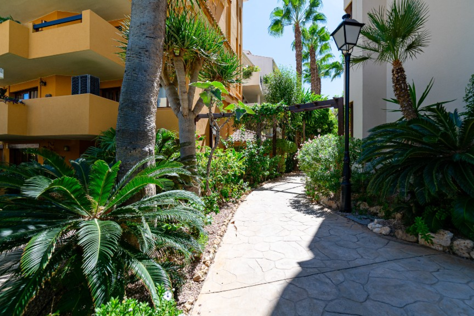 Herverkoop - 1. Appartement / flat - Punta Prima - Costa Blanca Zuid