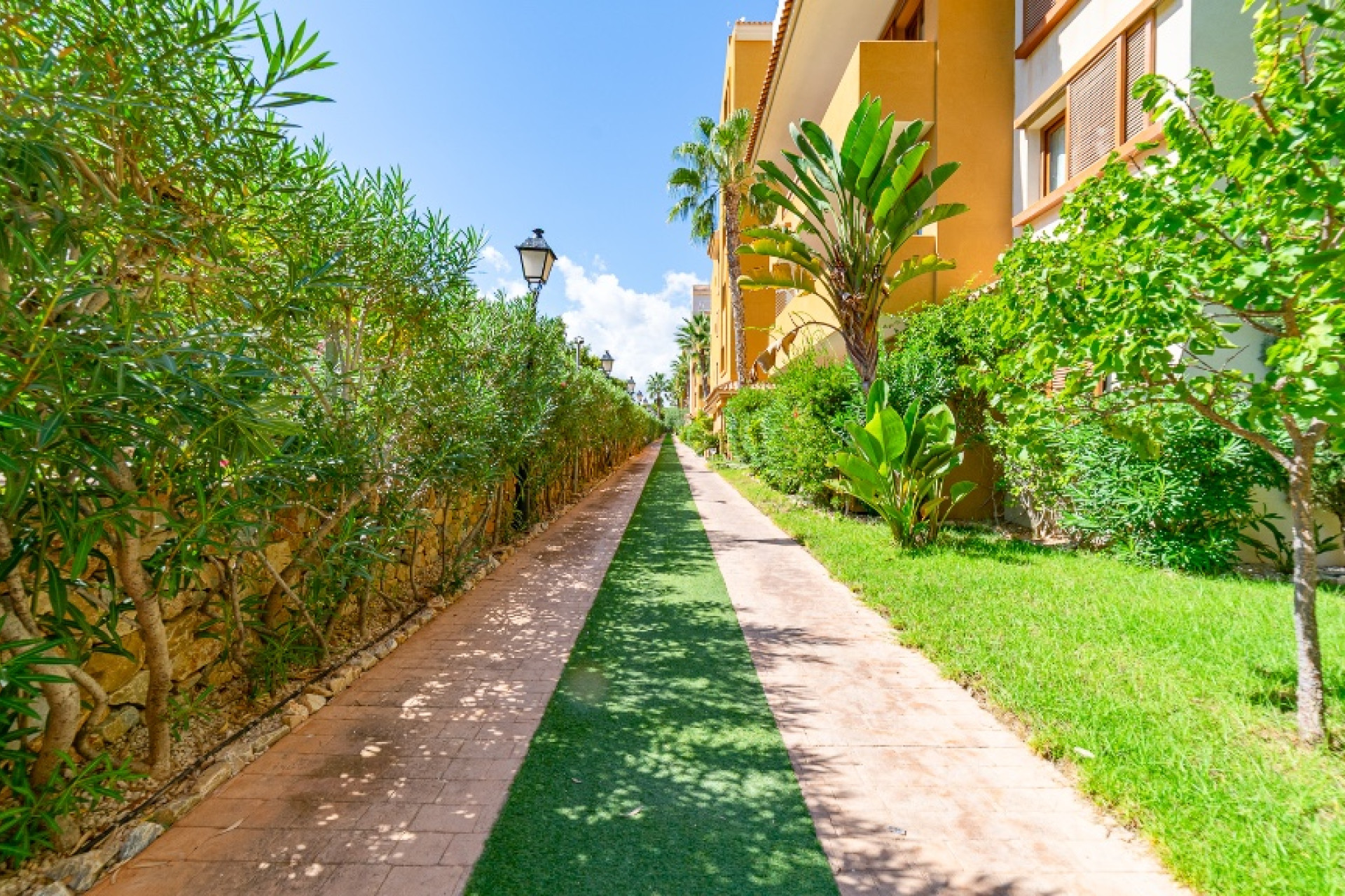 Herverkoop - 1. Appartement / flat - Punta Prima - Costa Blanca Zuid