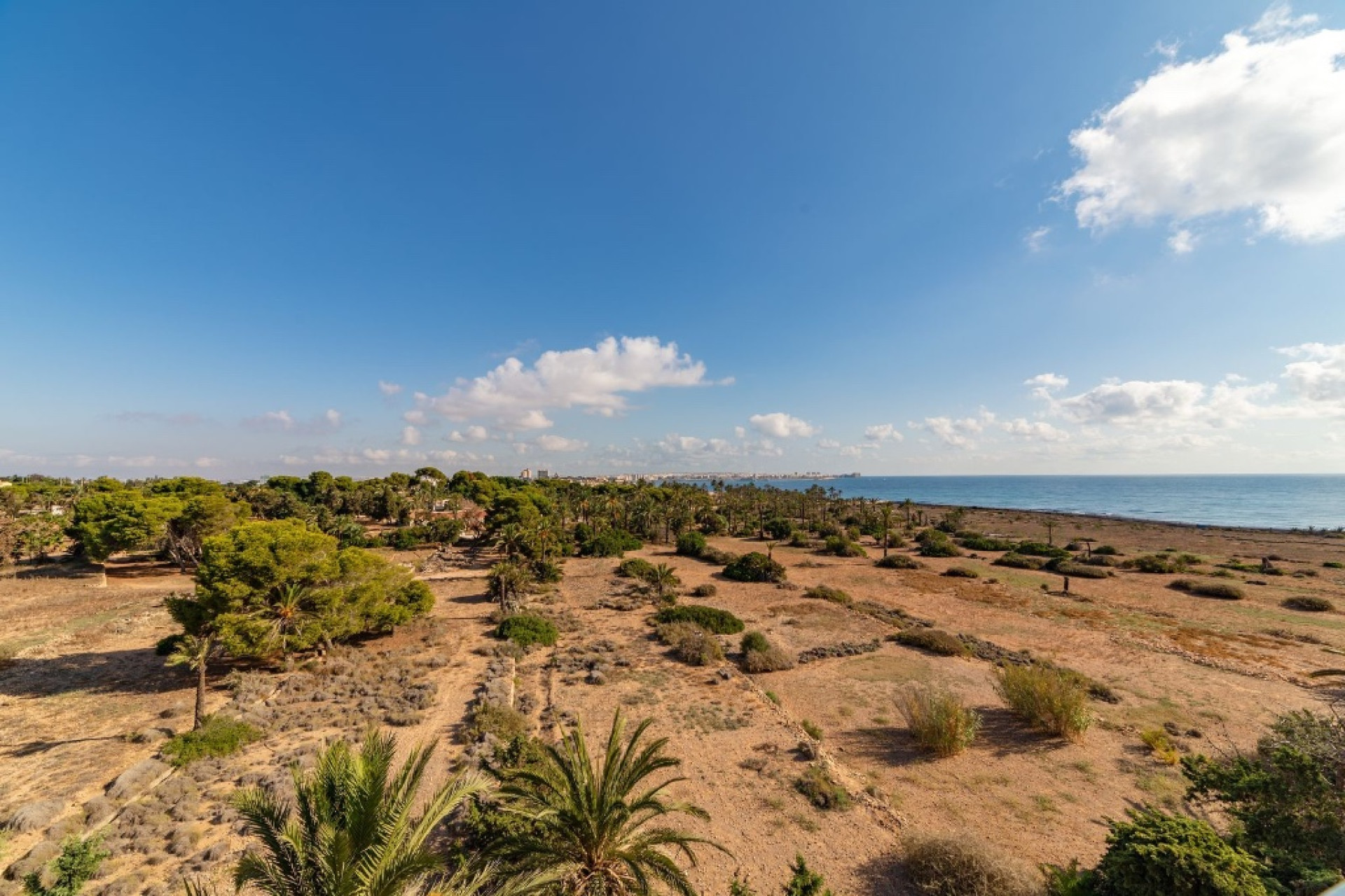 Herverkoop - 1. Appartement / flat - Punta Prima - Costa Blanca Zuid