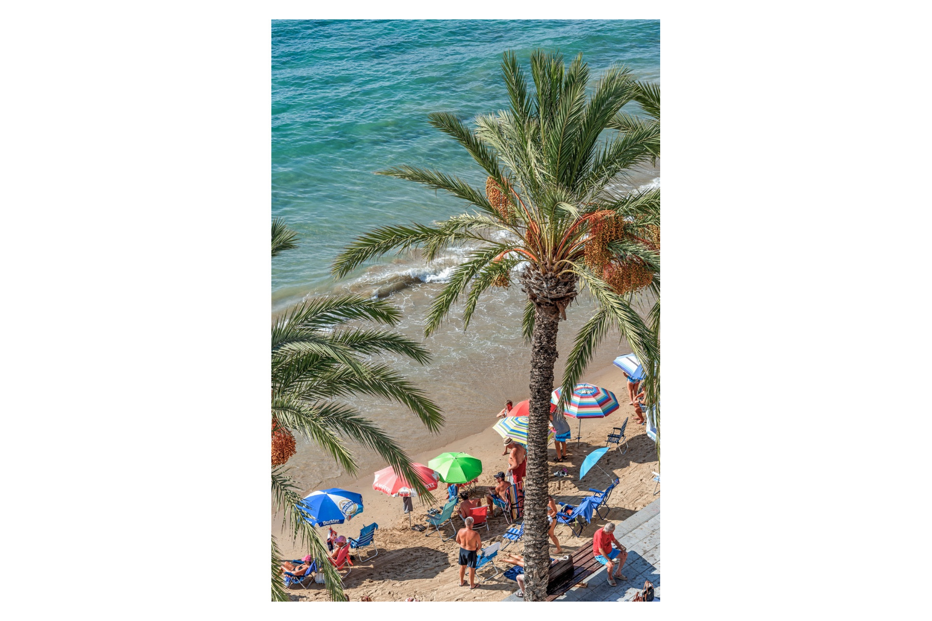 Herverkoop - 1. Appartement / flat - Torrevieja - Costa Blanca Zuid