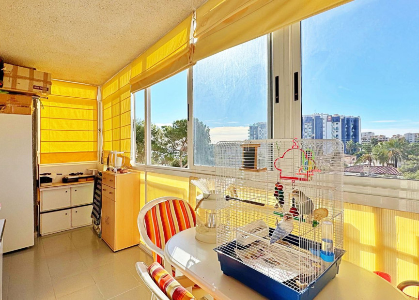 Herverkoop - 1. Appartement / flat - Torrevieja - Costa Blanca Zuid