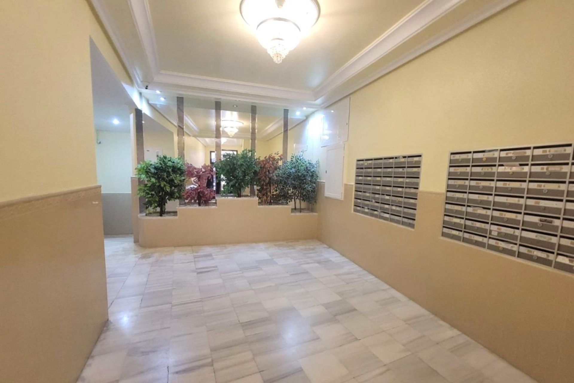 Herverkoop - 1. Appartement / flat - Torrevieja - Costa Blanca Zuid