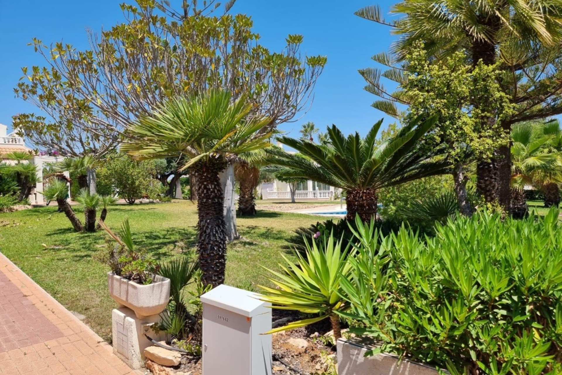 Herverkoop - 1. Appartement / flat - Torrevieja - Costa Blanca Zuid