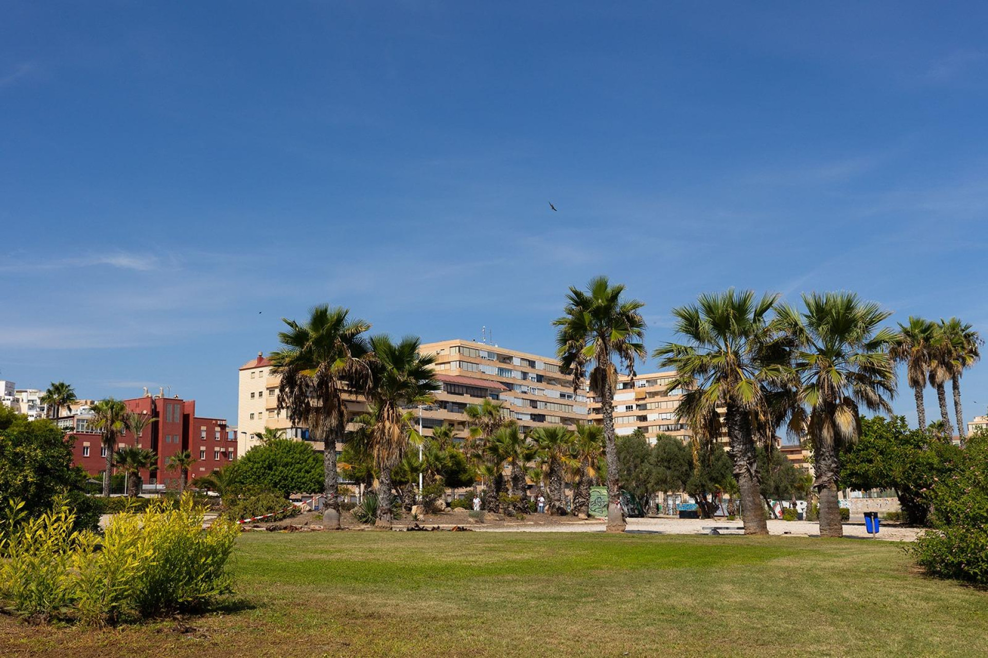 Herverkoop - 1. Appartement / flat - Torrevieja - Costa Blanca Zuid