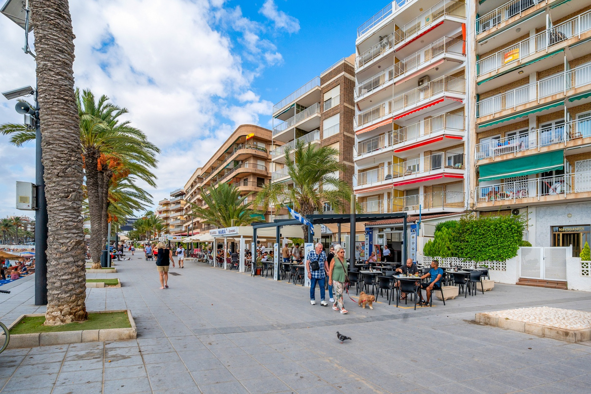 Herverkoop - 1. Appartement / flat - Torrevieja - Costa Blanca Zuid