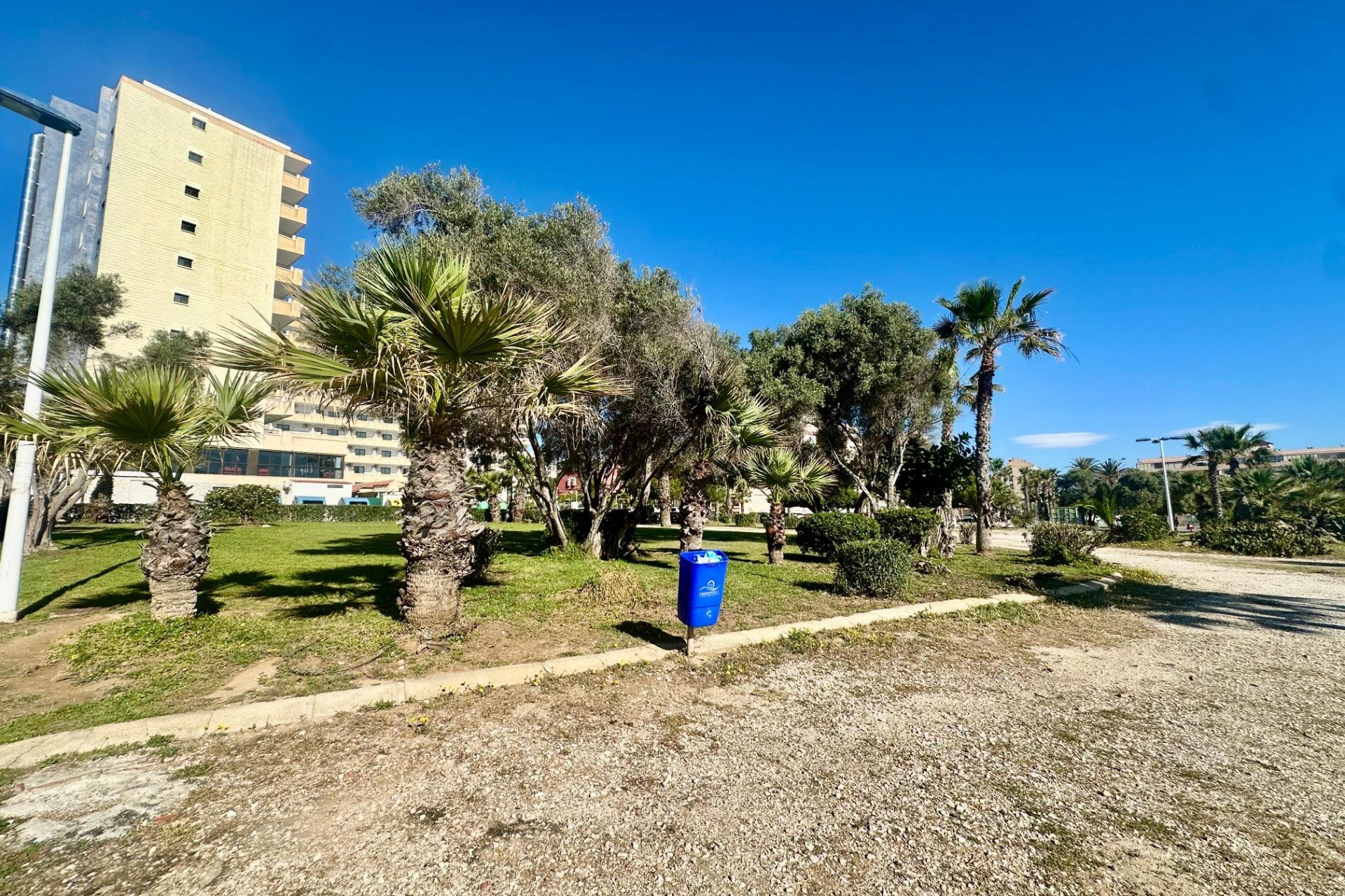 Herverkoop - 1. Appartement / flat - Torrevieja - Costa Blanca Zuid