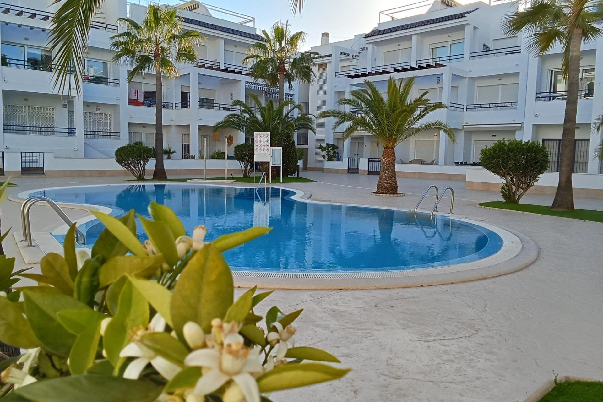 Herverkoop - 1. Appartement / flat - Torrevieja - Costa Blanca Zuid