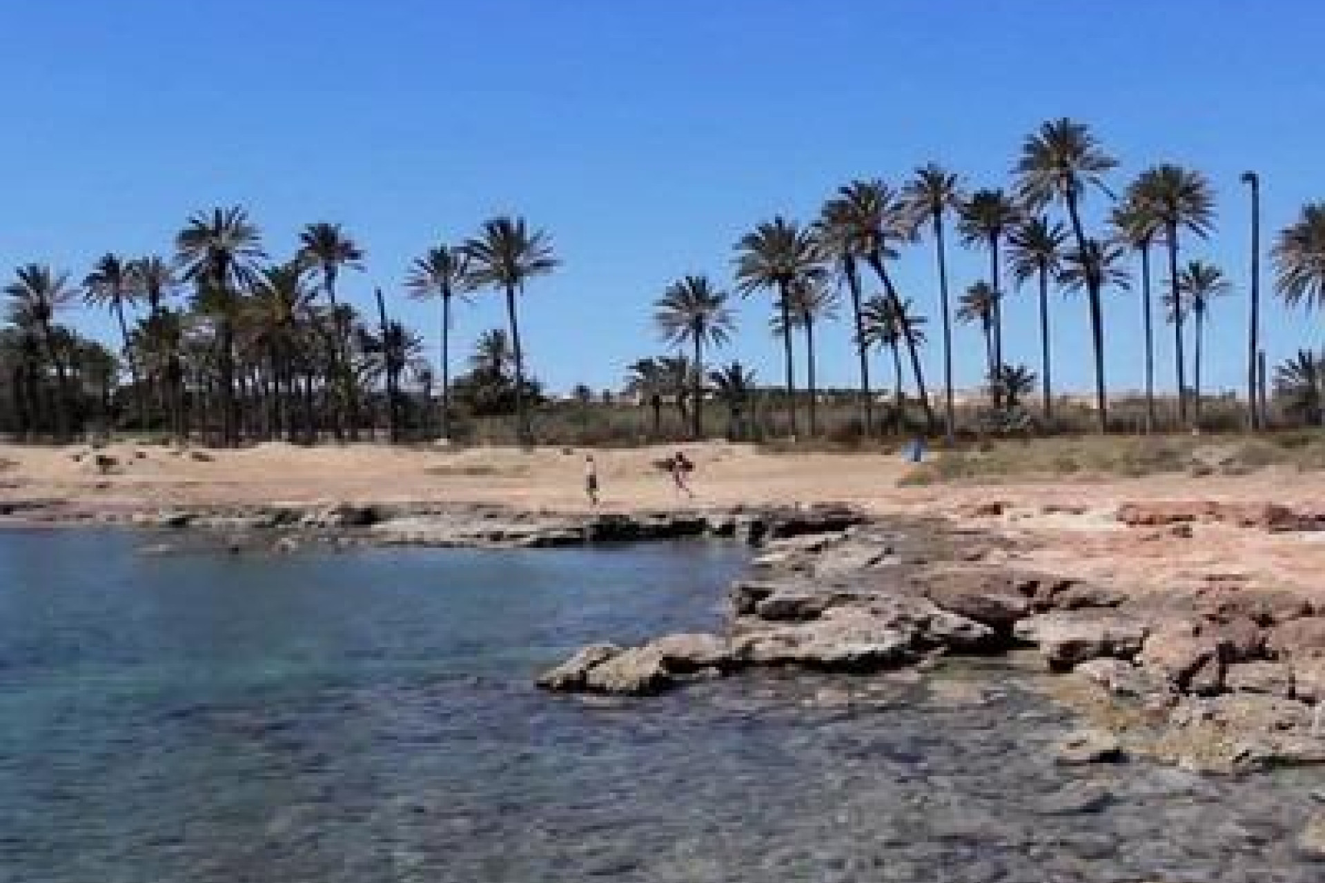 Herverkoop - 1. Appartement / flat - Torrevieja - Costa Blanca Zuid