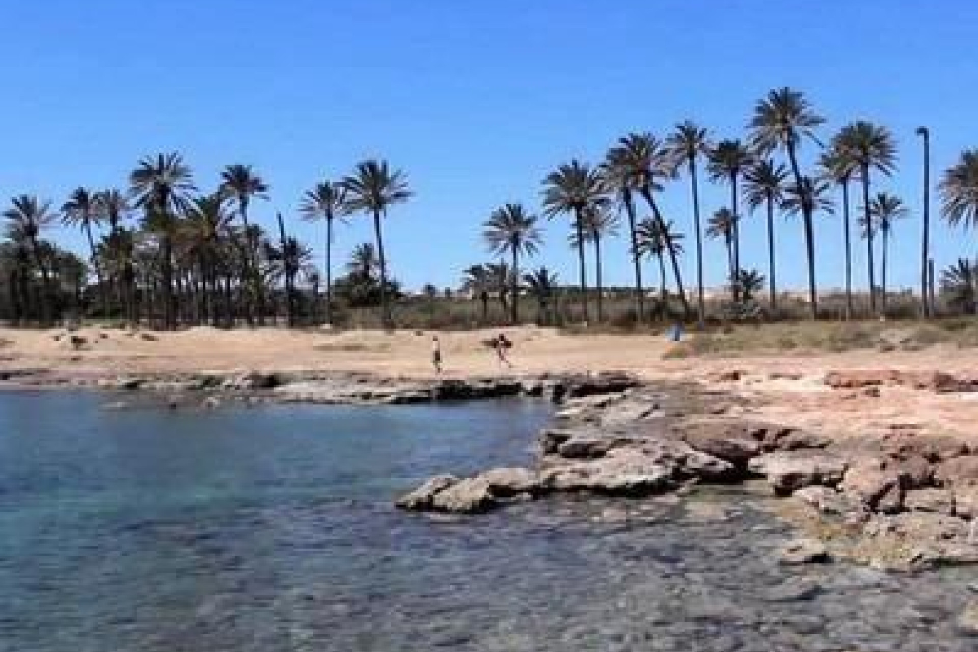 Herverkoop - 1. Appartement / flat - Torrevieja - Costa Blanca Zuid