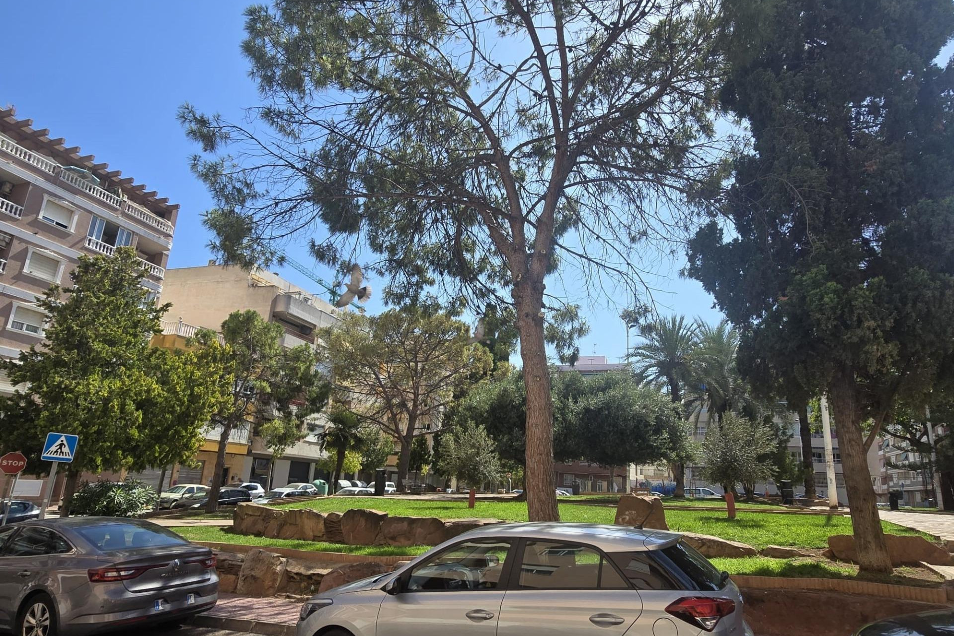 Herverkoop - 1. Appartement / flat - Torrevieja - Costa Blanca Zuid