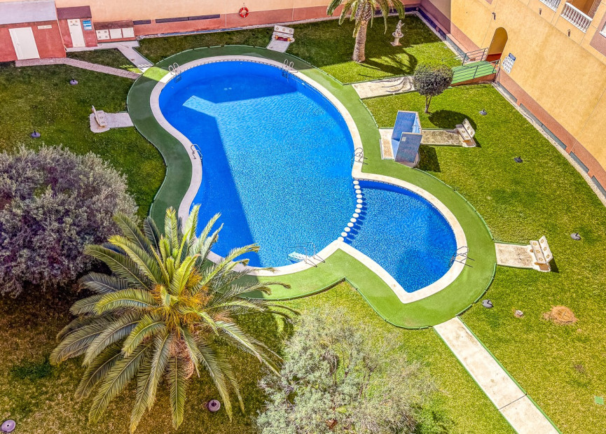 Herverkoop - 1. Appartement / flat - Torrevieja - Parque de las Naciones
