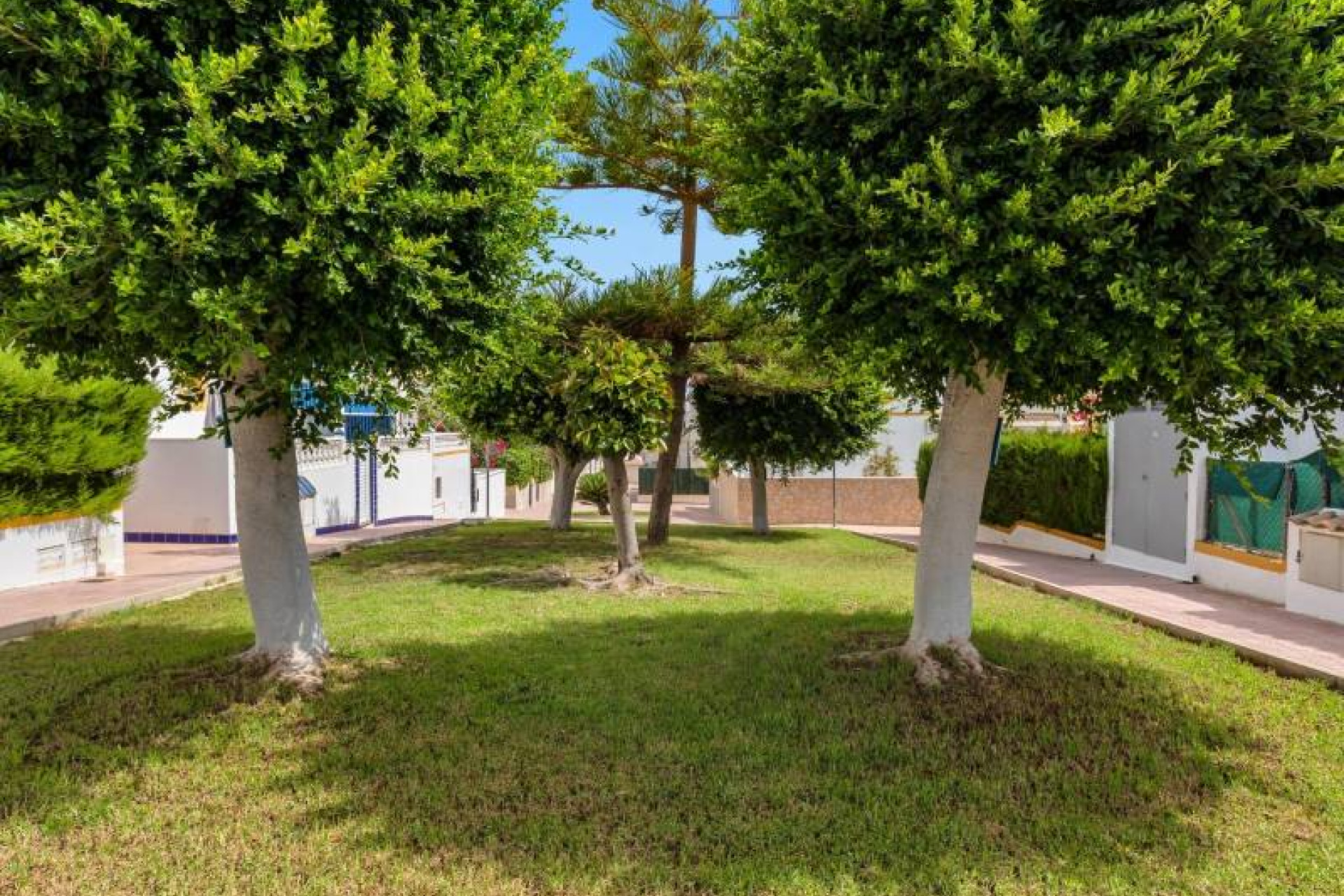 Herverkoop - 2. Town house - Torrevieja - Orihuela Costa