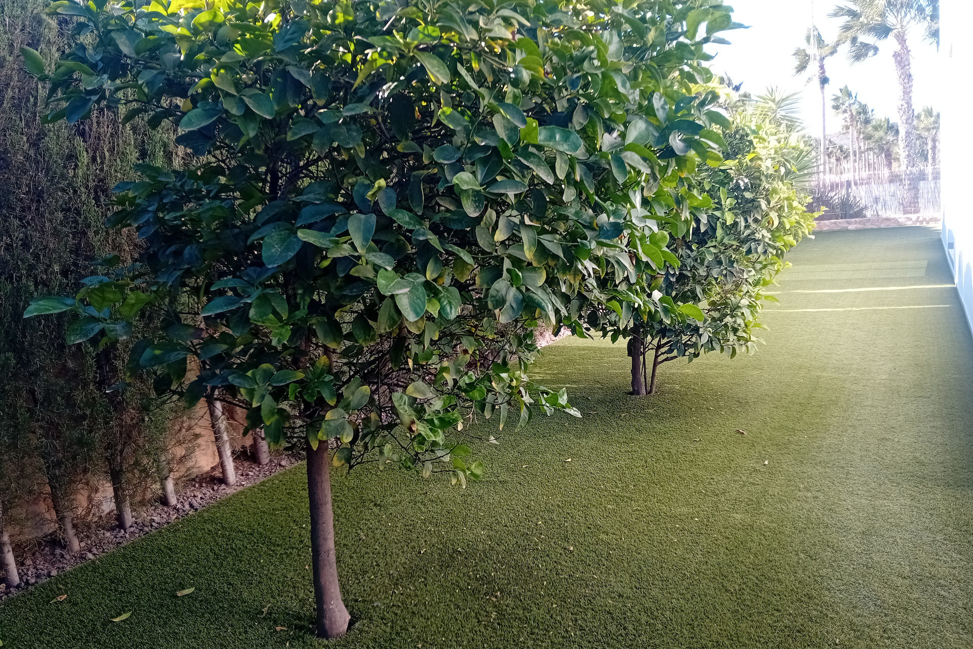 Herverkoop - 3. Halfvrijstaand huis - Algorfa - Costa Blanca Zuid