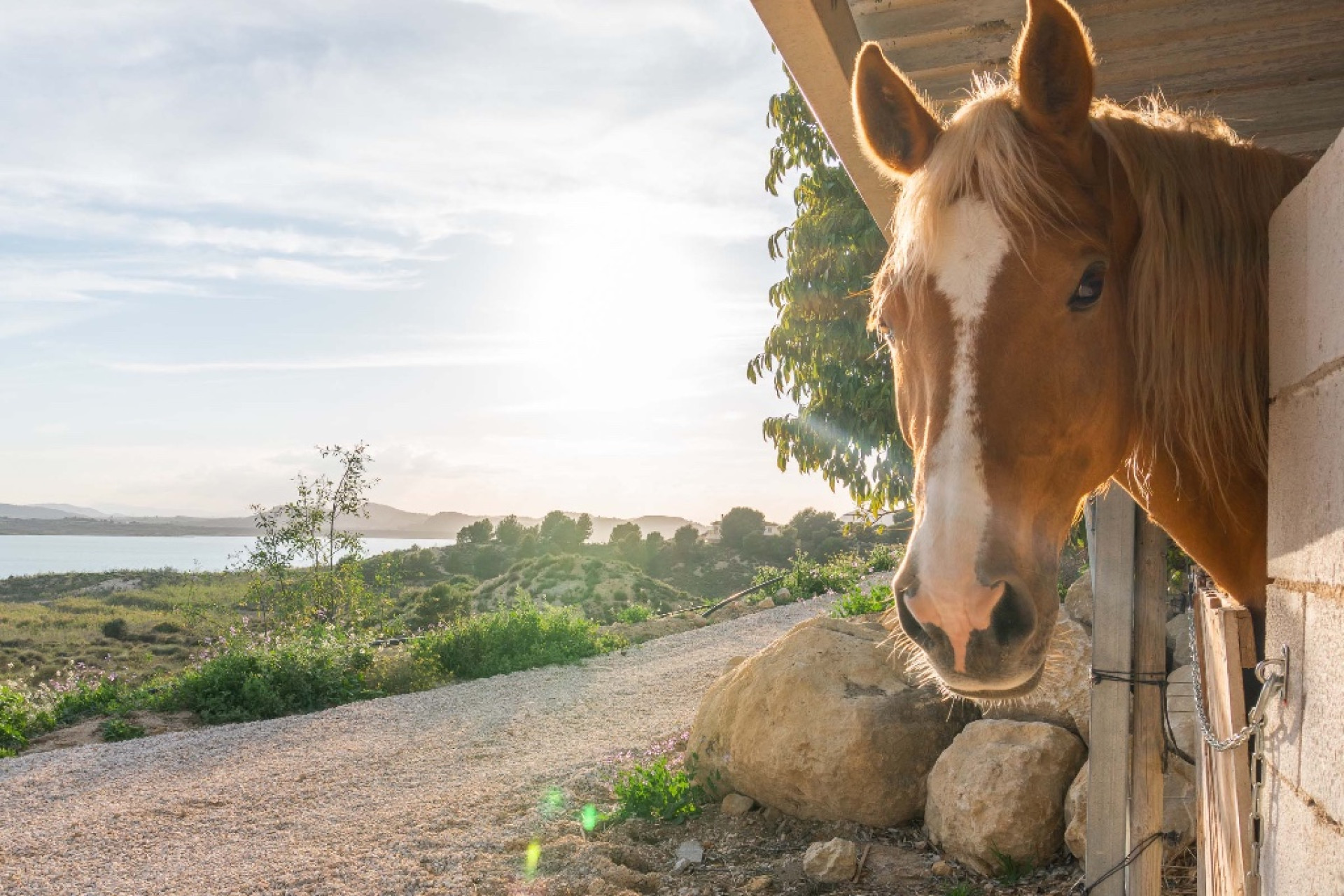 Herverkoop - 3. Halfvrijstaand huis - Costa Blanca - Costa Blanca Zuid