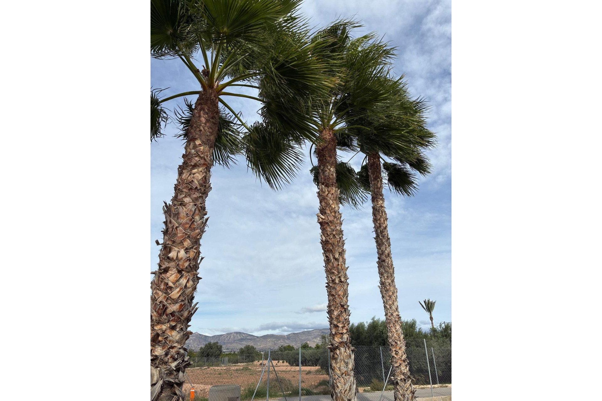 Herverkoop - 3. Halfvrijstaand huis - Crevillente - Costa Blanca Zuid