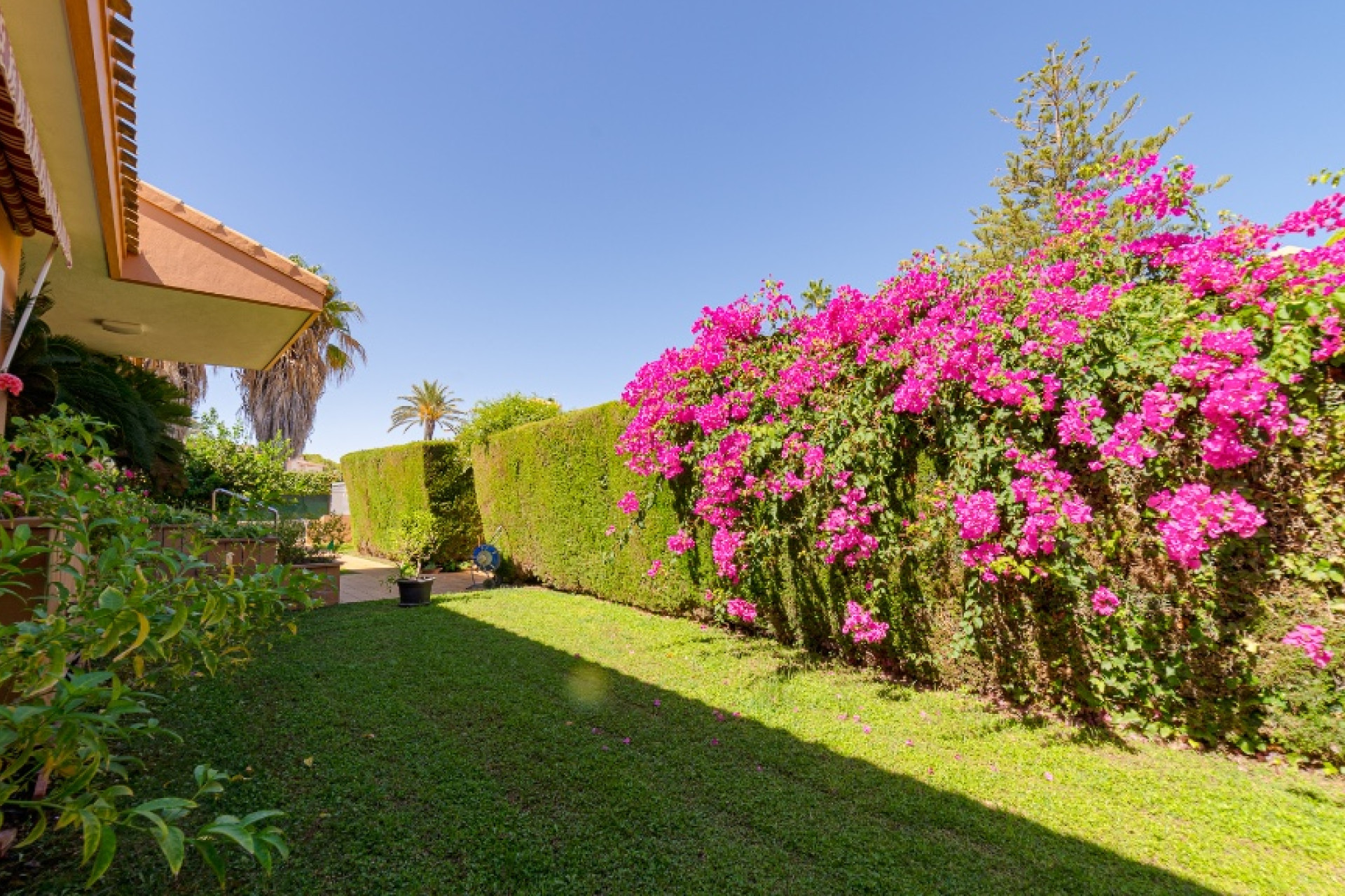 Herverkoop - 3. Halfvrijstaand huis - Dehesa de Campoamor - Costa Blanca Zuid