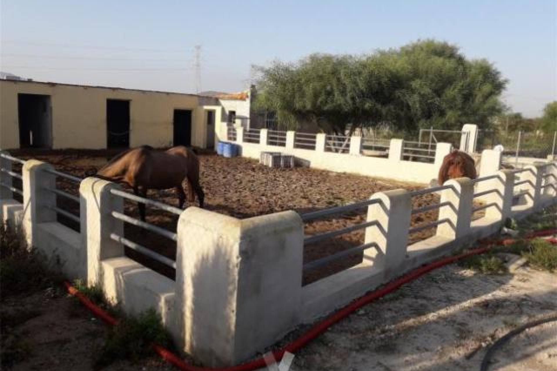 Herverkoop - 3. Halfvrijstaand huis - La Mata - Costa Blanca Zuid