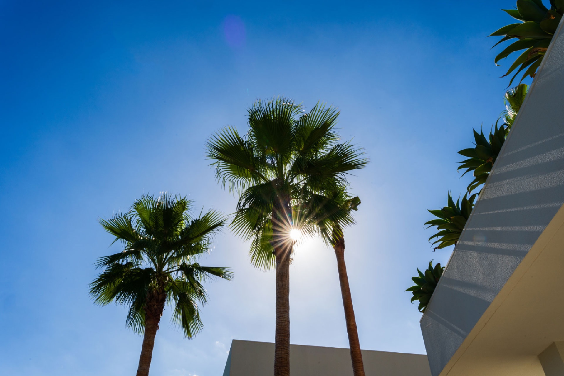 Herverkoop - 3. Halfvrijstaand huis - Las Colinas Golf and Country Club - Costa Blanca Zuid