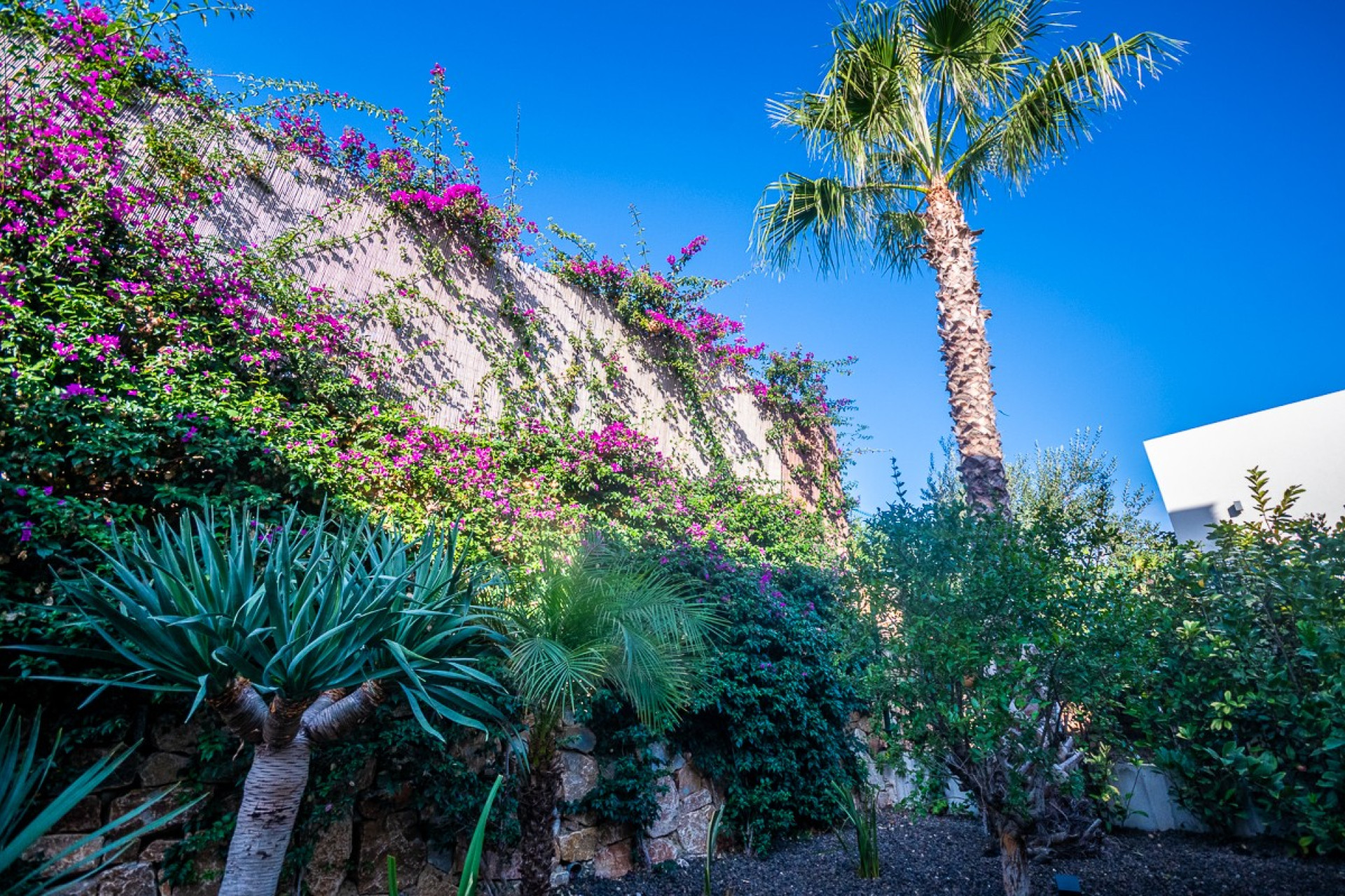 Herverkoop - 3. Vrijstaande villa - Algorfa - Costa Blanca Zuid