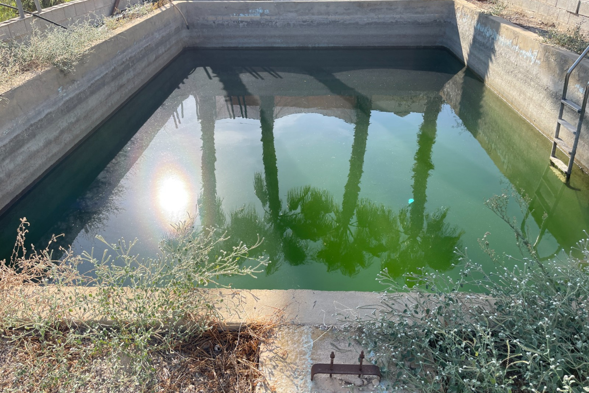 Herverkoop - 3. Vrijstaande villa - Crevillent - Crevillente