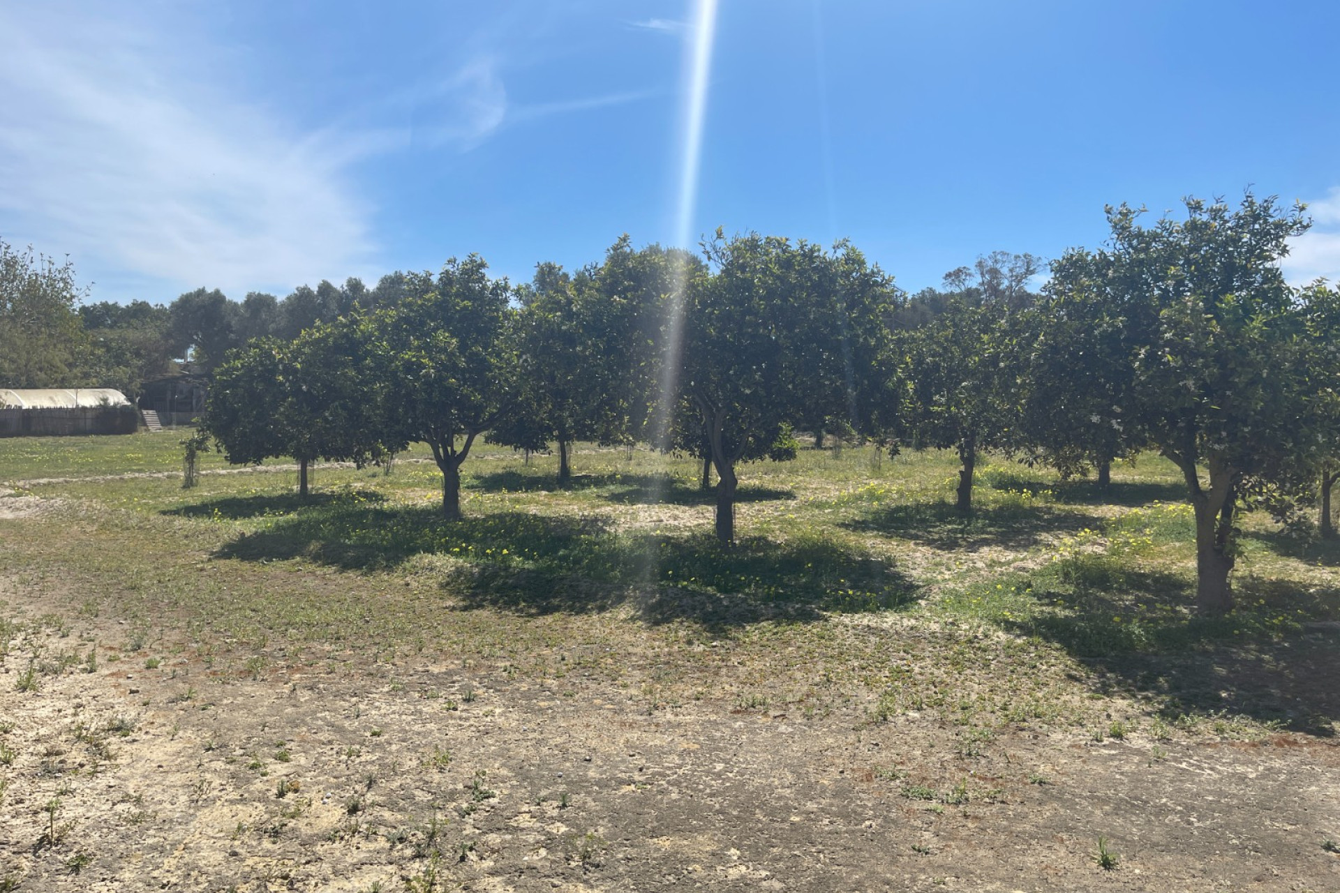 Herverkoop - 3. Vrijstaande villa - Guardamar del Segura - Valencian Community