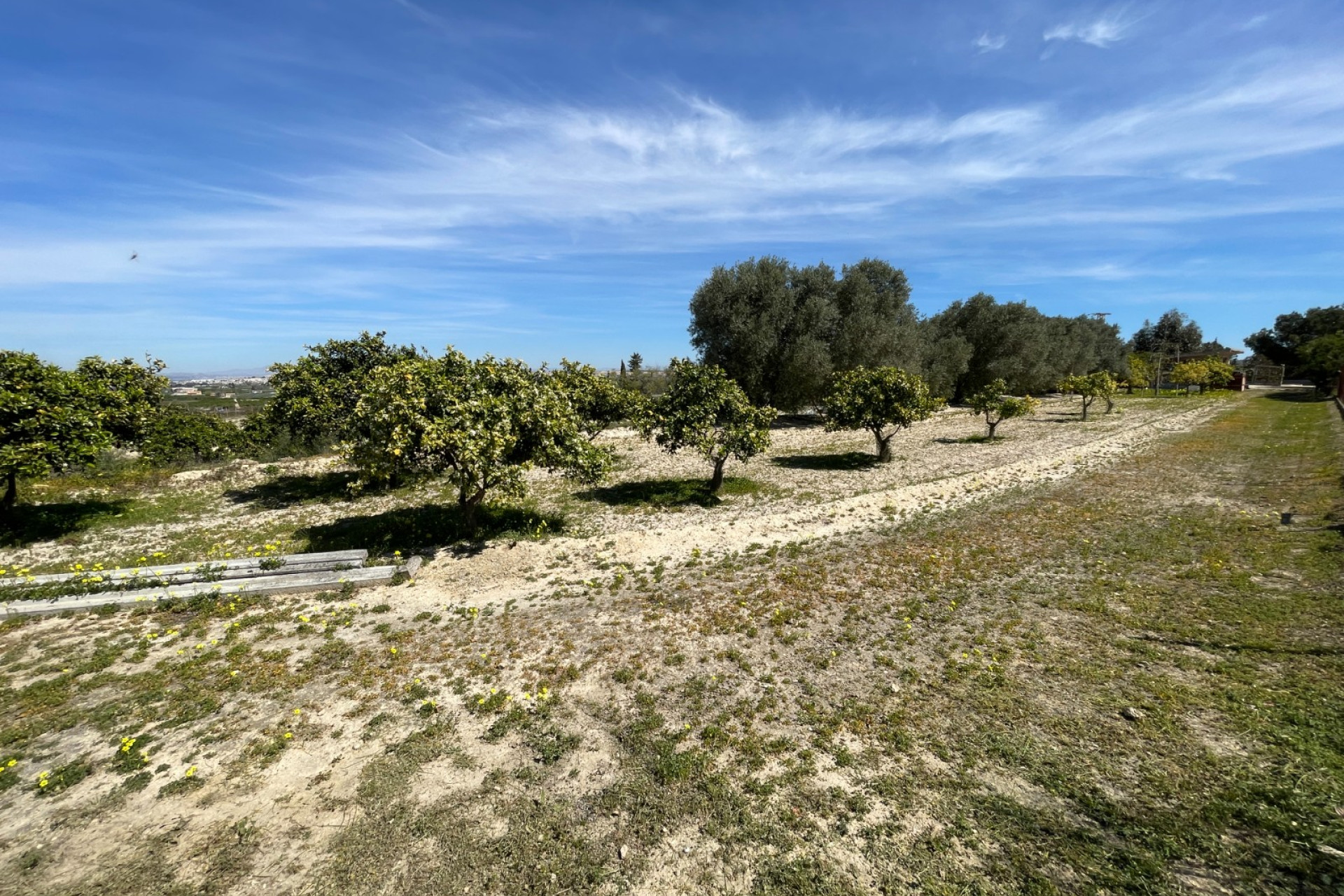 Herverkoop - 3. Vrijstaande villa - Guardamar del Segura - Valencian Community