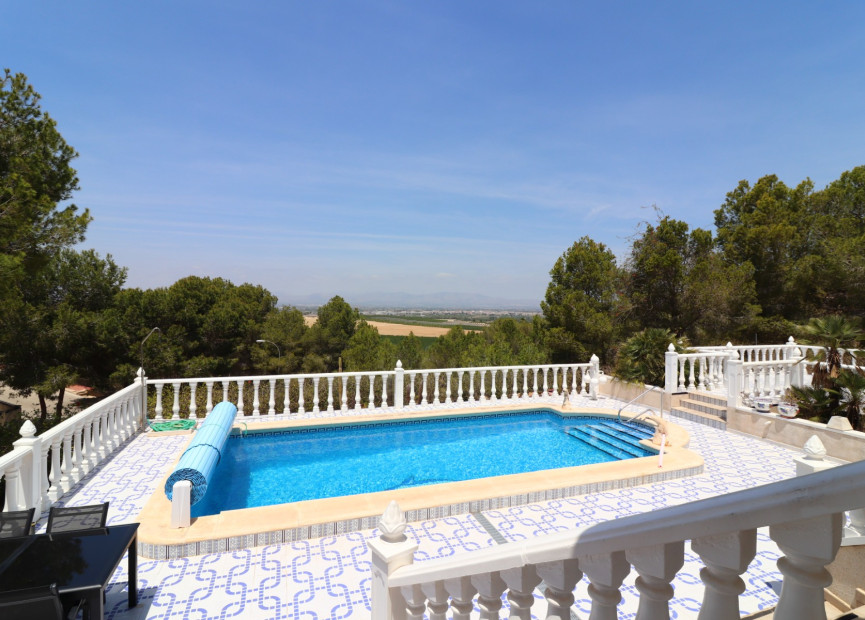 Herverkoop - 4. House - Detached Villa - Algorfa - Rojales