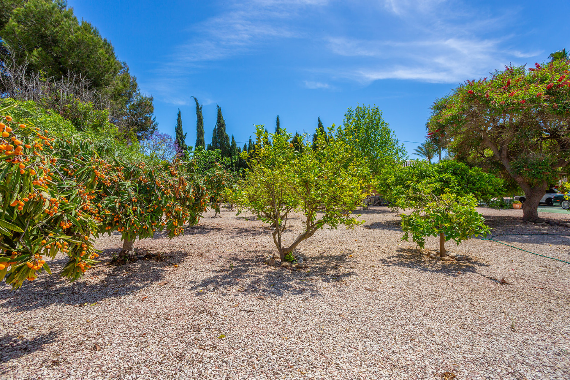 Herverkoop - 4. House - Detached Villa - Daya Vieja - Rojales