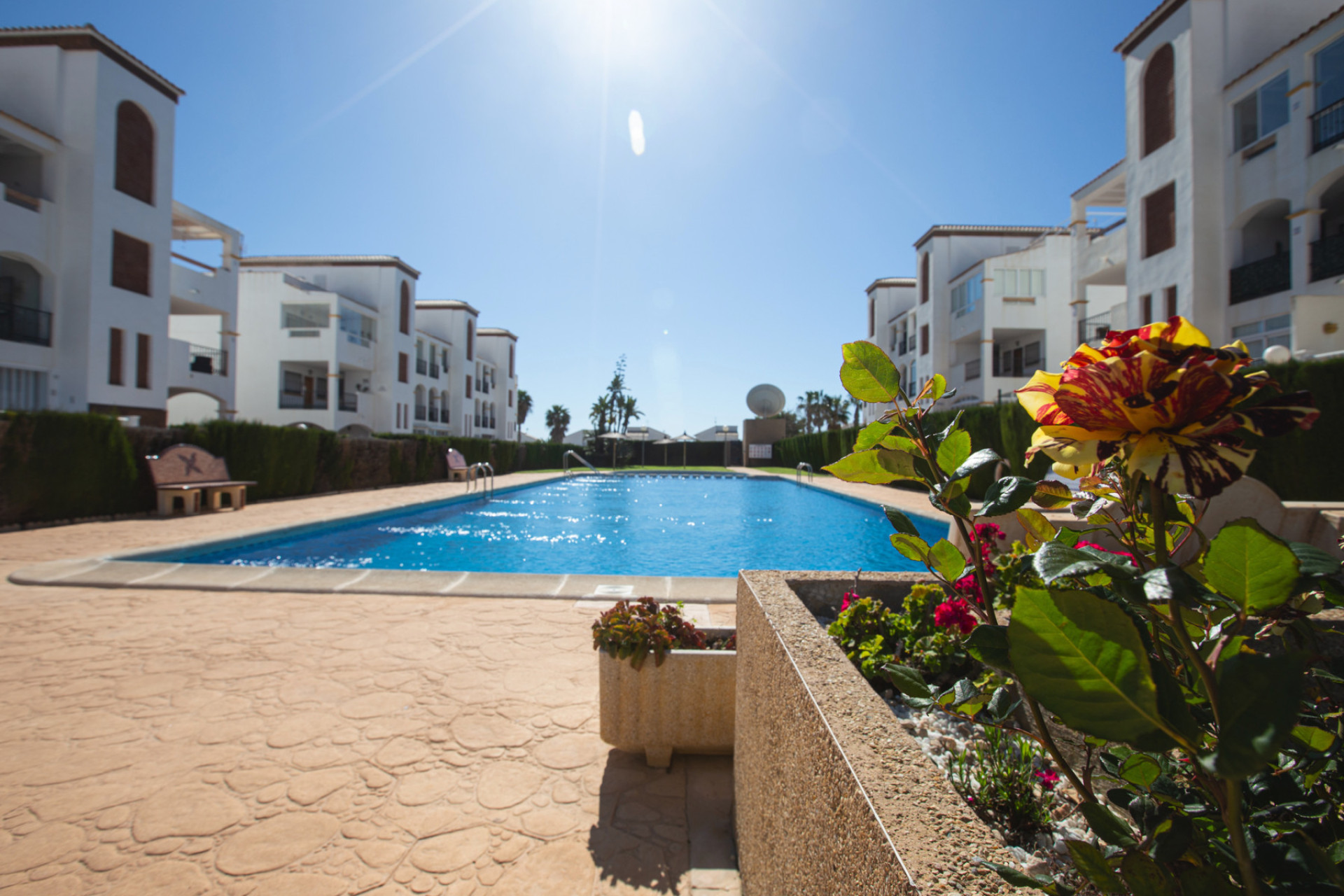 Herverkoop - 4. House - Detached Villa - Punta Prima - Orihuela Costa