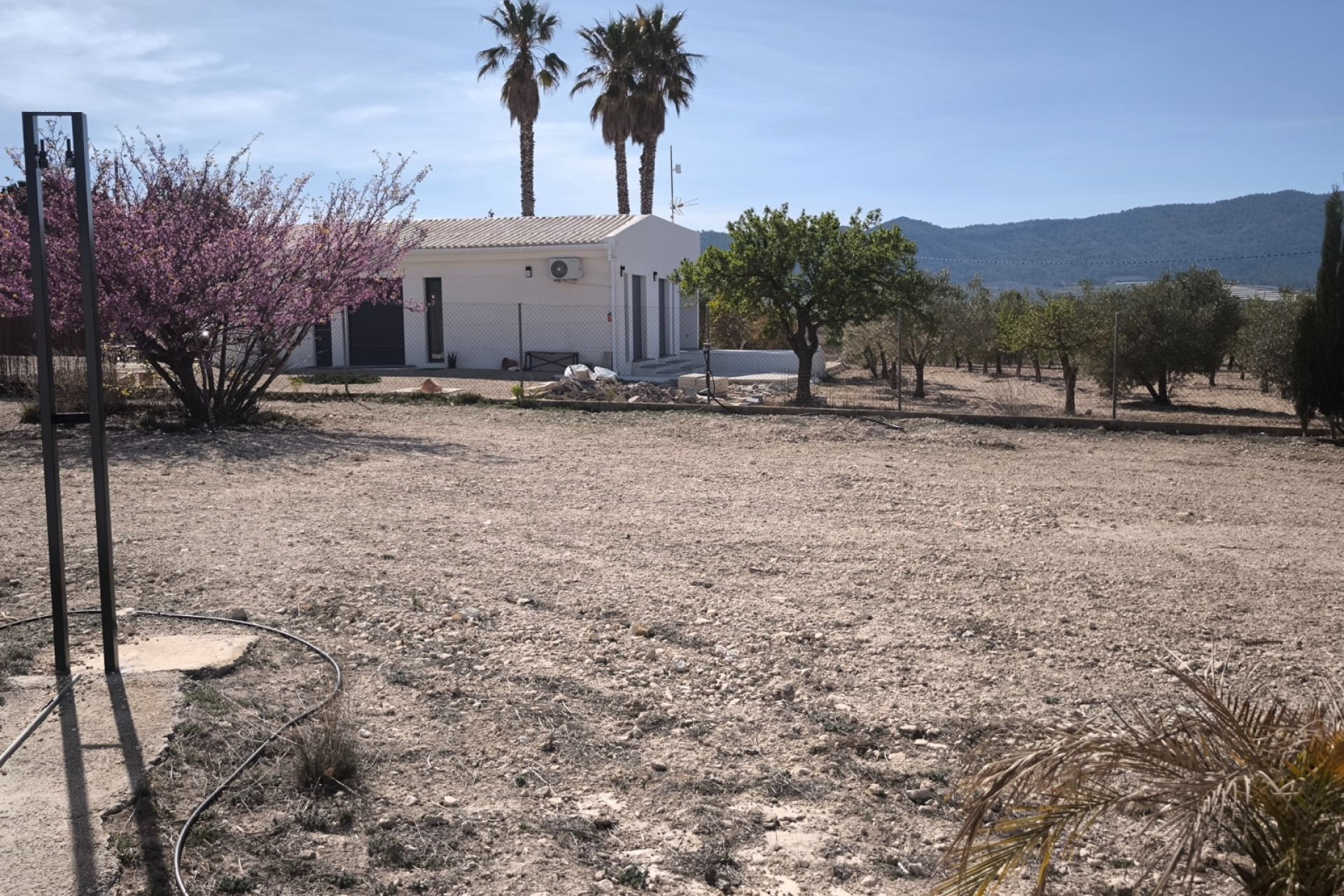 Herverkoop - 4. House - Detached Villa - Salinas - Pinoso