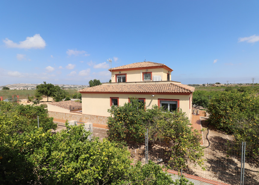 Herverkoop - 5. Finca / Country Property - Algorfa - Rojales