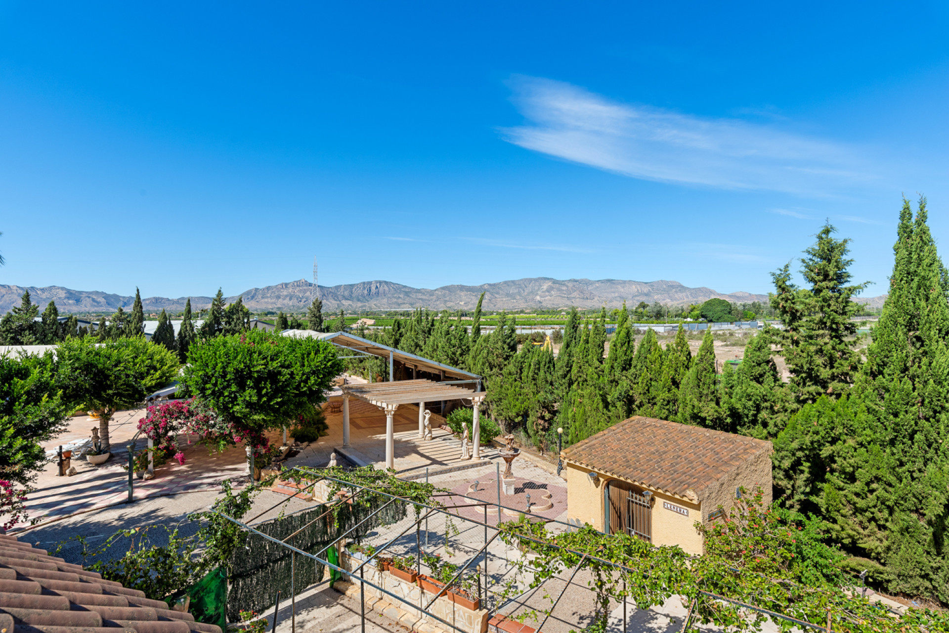 Herverkoop - 5. Finca / Country Property - Crevillente - Orihuela