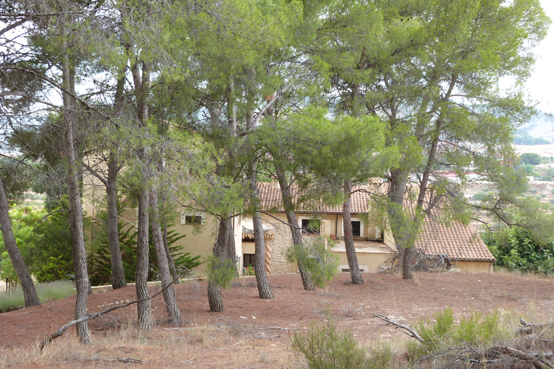 Herverkoop - 5. Finca / Country Property - Ibi - Alcoy