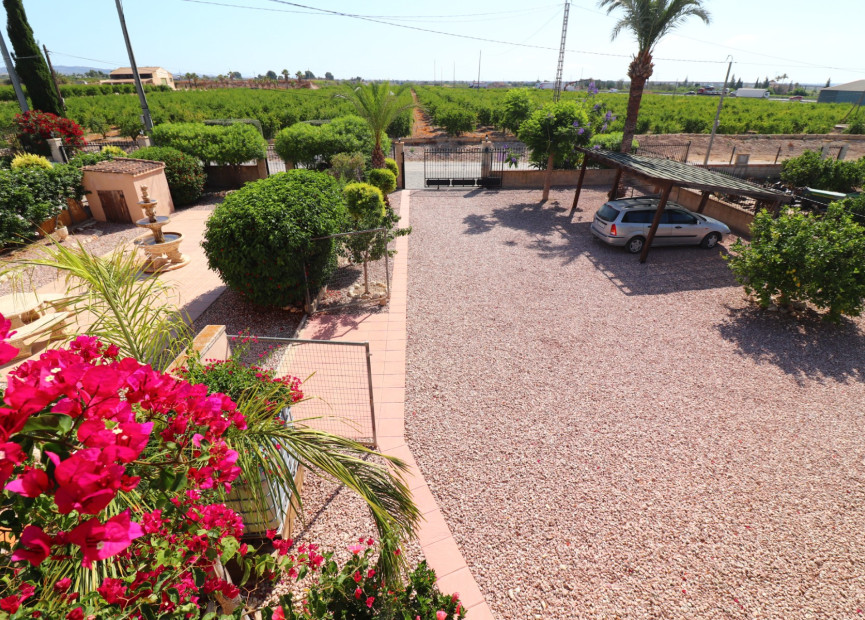 Herverkoop - 7. Finca / landhuis - Albatera - Albatera - Country