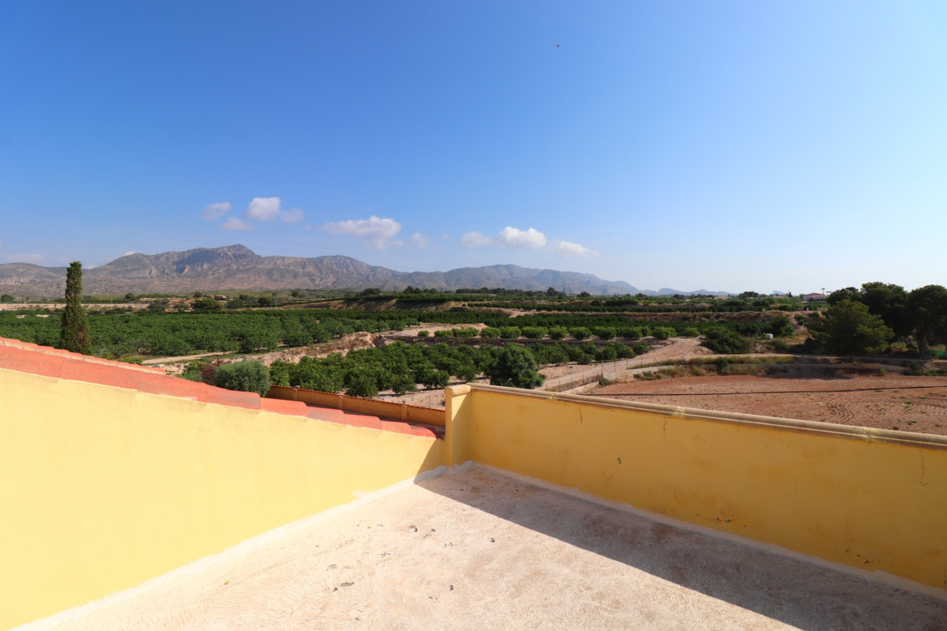 Herverkoop - 7. Finca / landhuis - Albatera - Albatera - Country