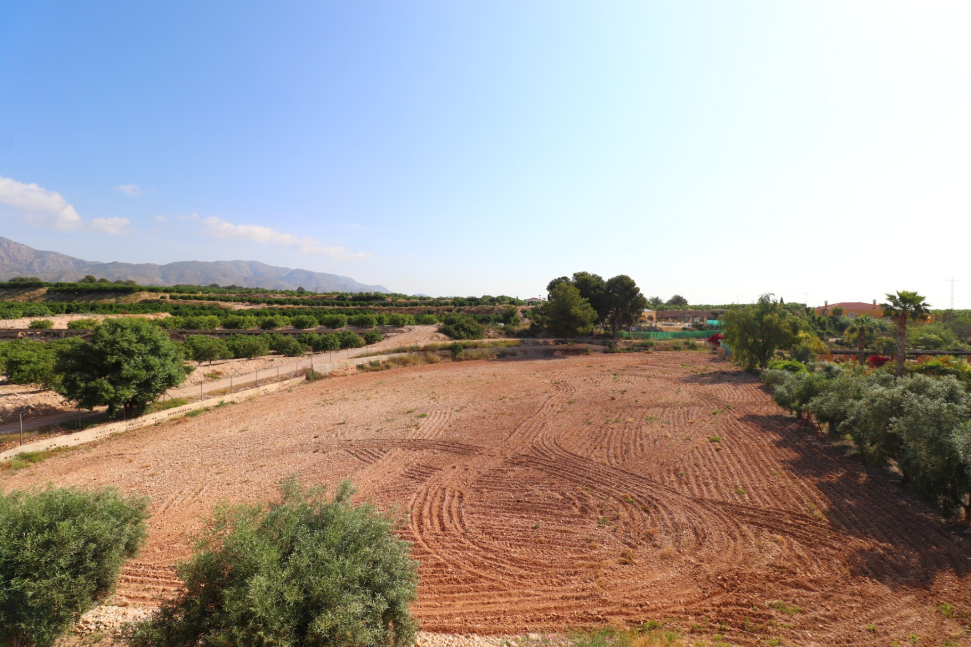 Herverkoop - 7. Finca / landhuis - Albatera - Albatera - Country
