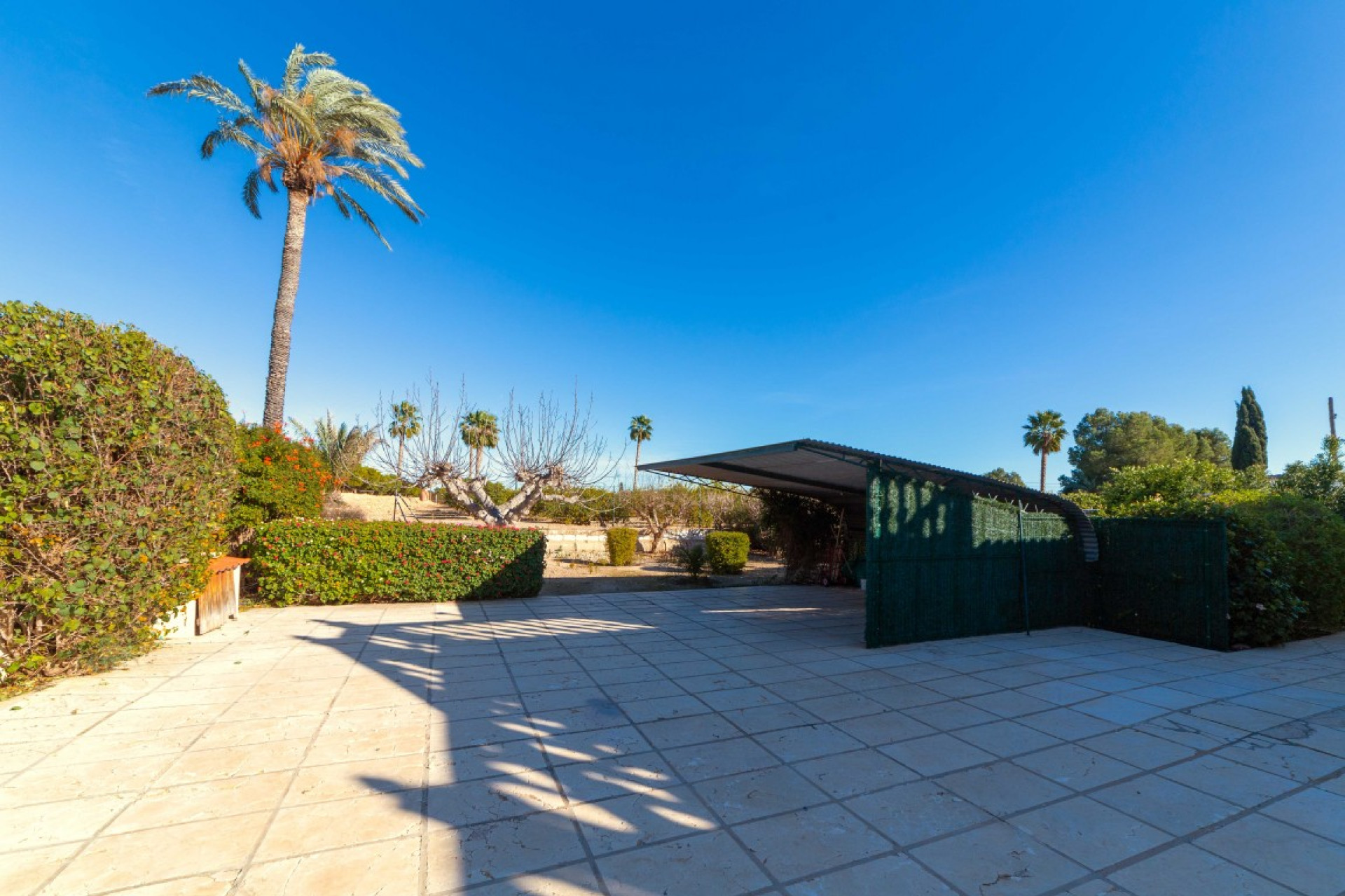 Herverkoop - 7. Finca / landhuis - Albatera - Costa Blanca Zuid