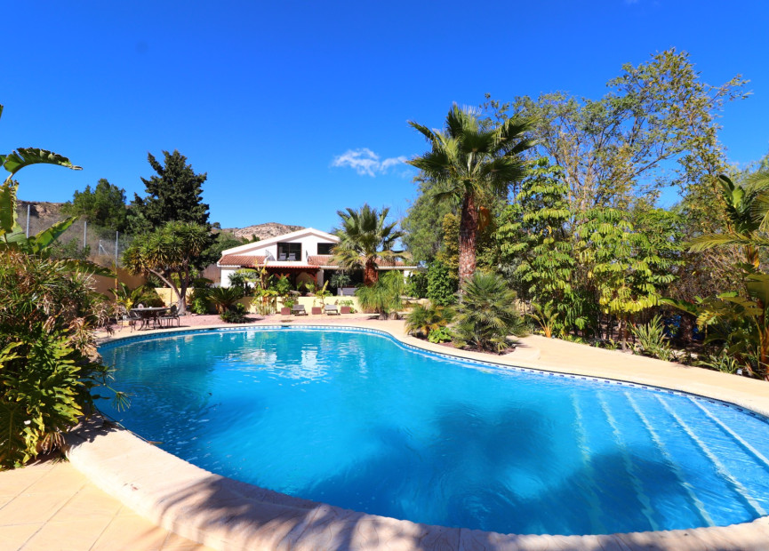 Herverkoop - 7. Finca / landhuis - Aspe - Costa Blanca Noord