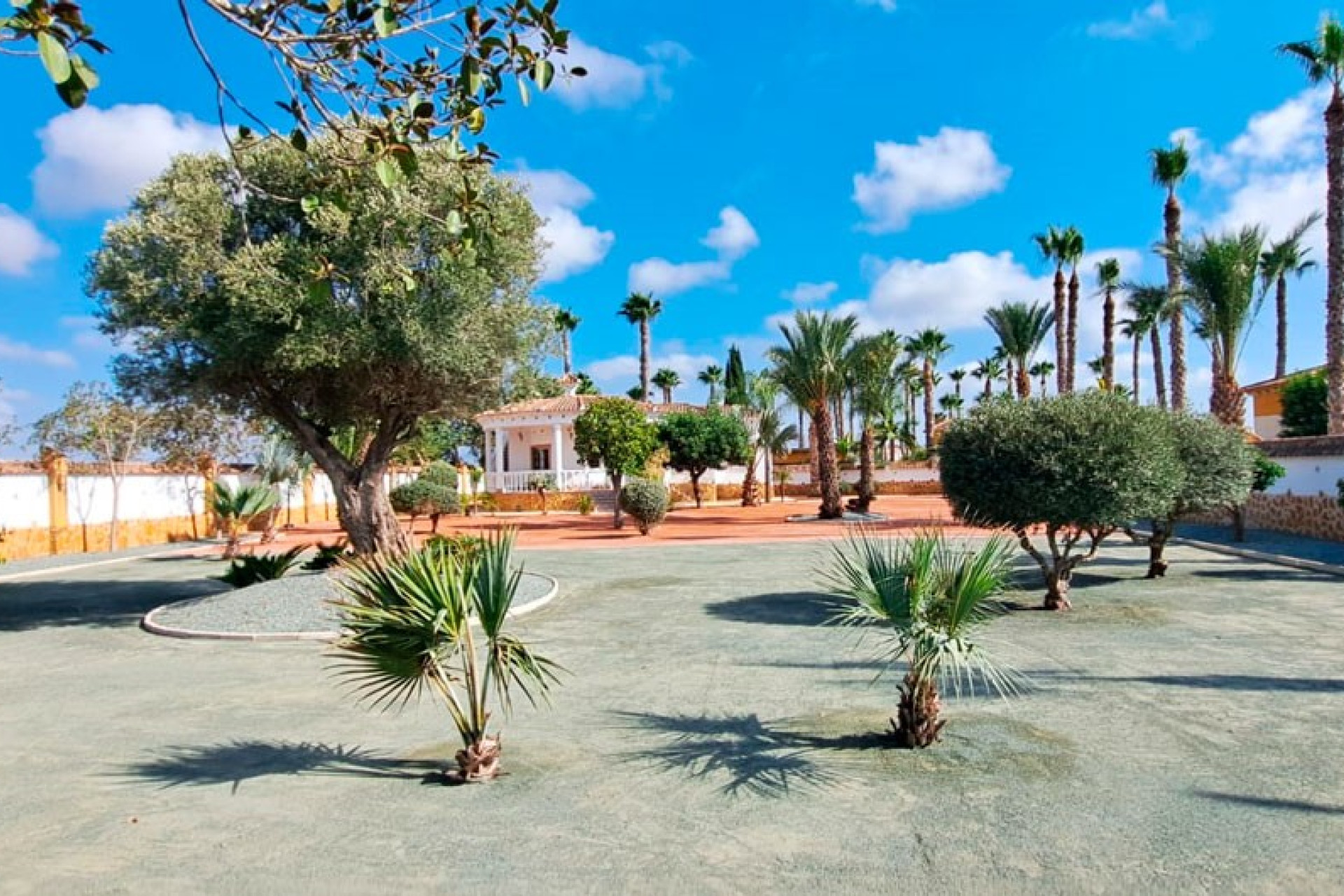 Herverkoop - 7. Finca / landhuis - Catral - Costa Blanca Zuid