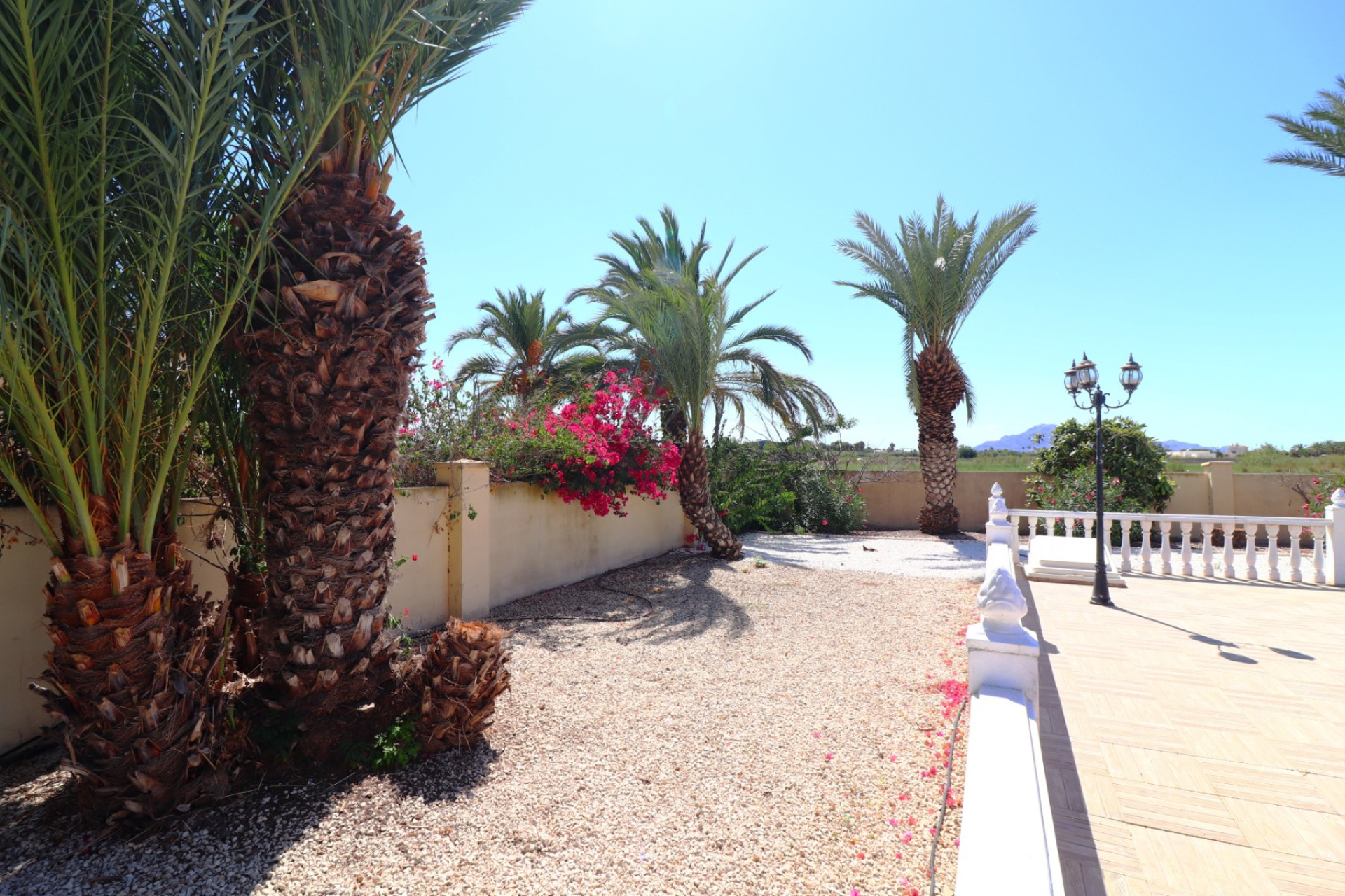 Herverkoop - 7. Finca / landhuis - Catral - Costa Blanca Zuid