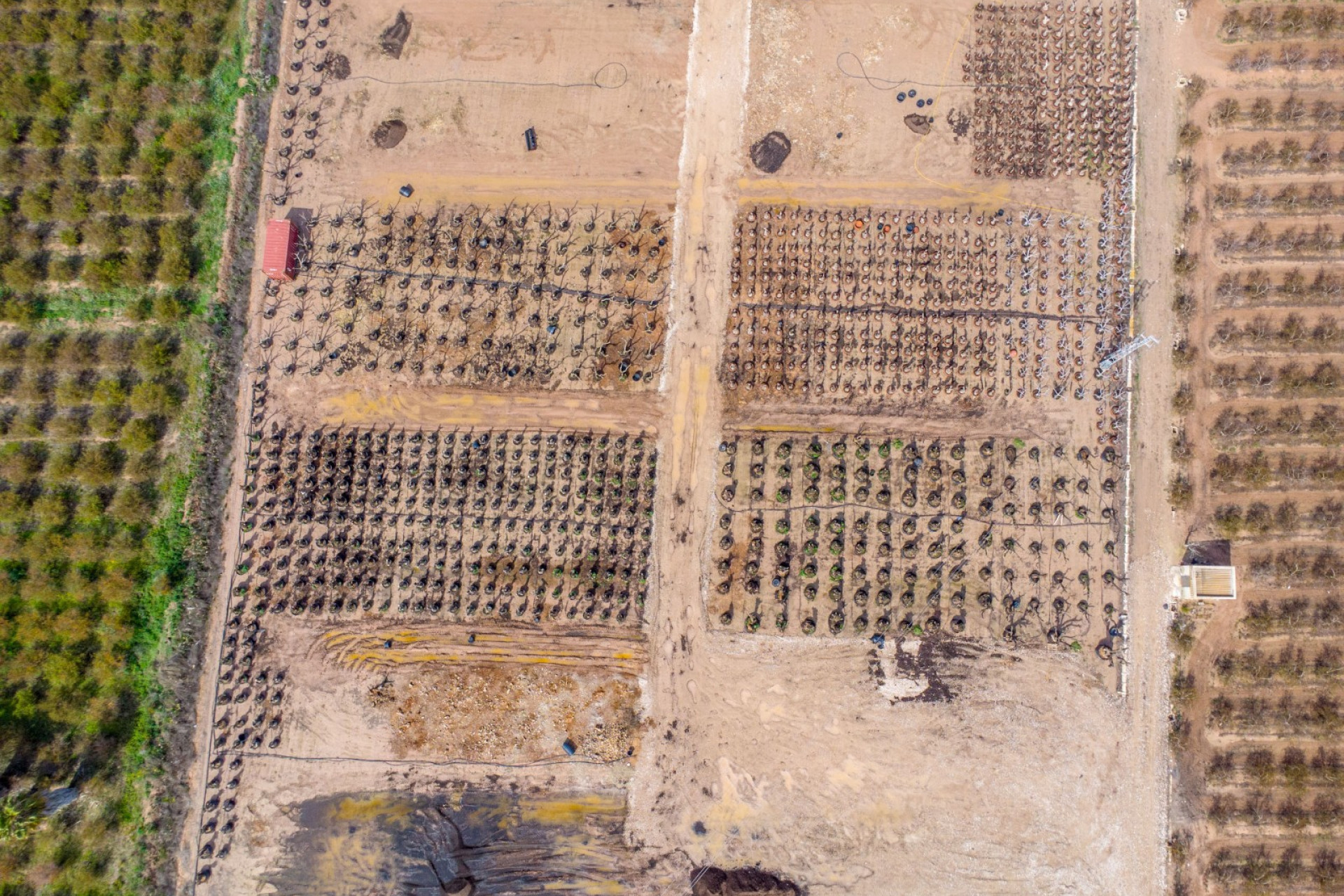 Herverkoop - 7. Finca / landhuis - Crevillent - Costa Blanca Zuid