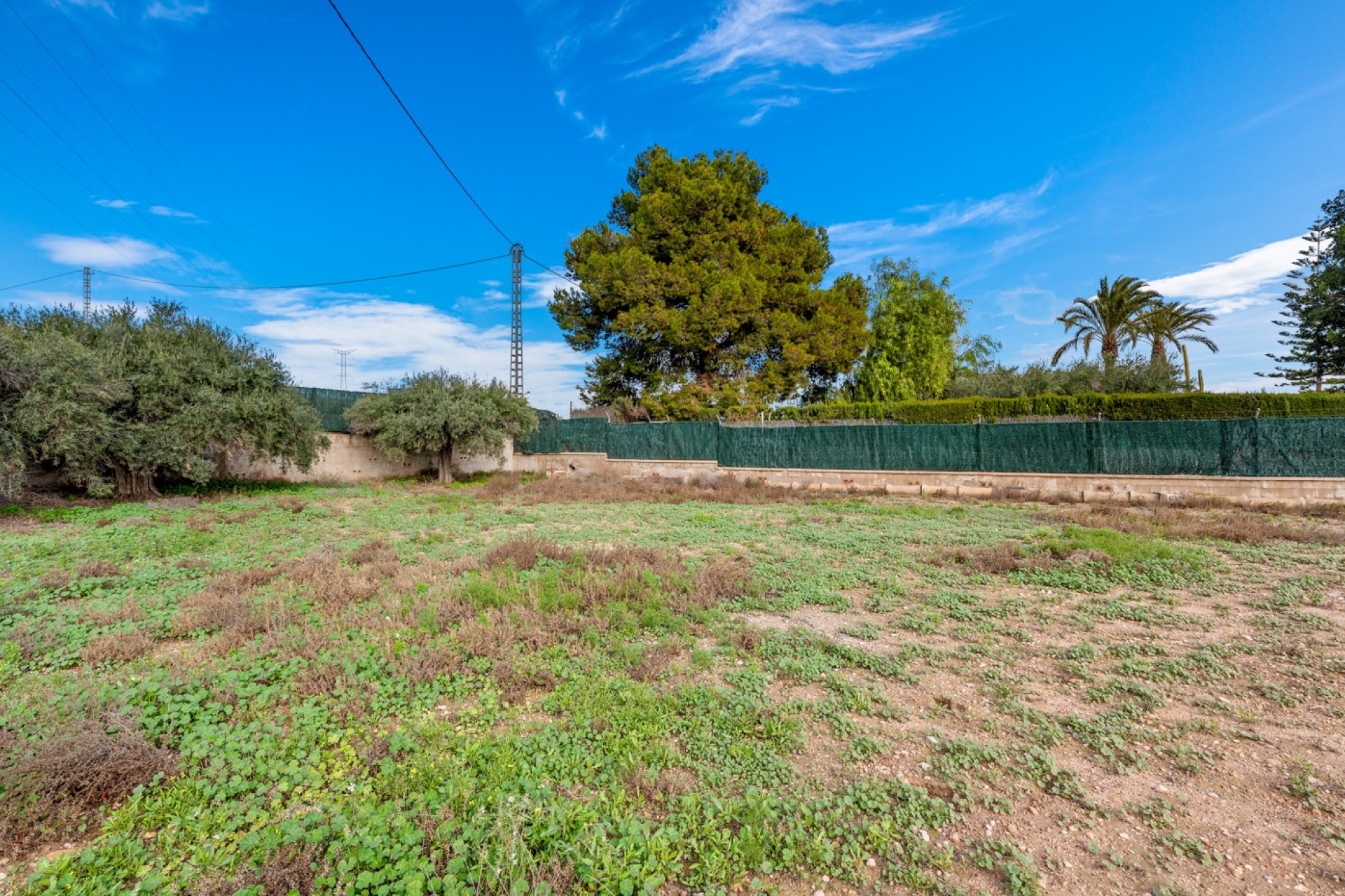 Herverkoop - 7. Finca / landhuis - Elche - Costa Blanca Zuid