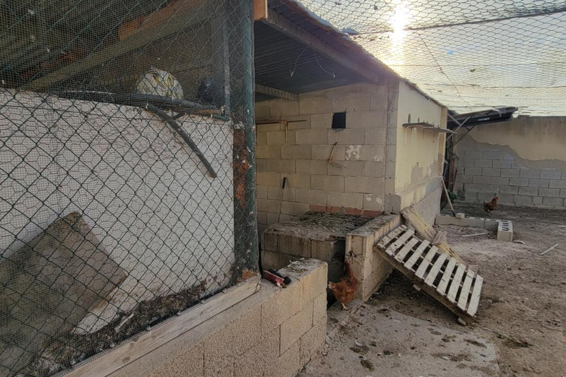 Herverkoop - 7. Finca / landhuis - San Miguel de Salinas - Costa Blanca Zuid