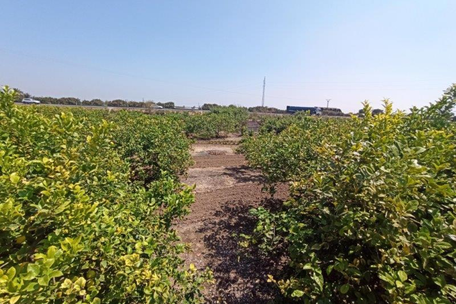 Herverkoop - 7. Finca / landhuis - San Miguel de Salinas - Costa Blanca Zuid