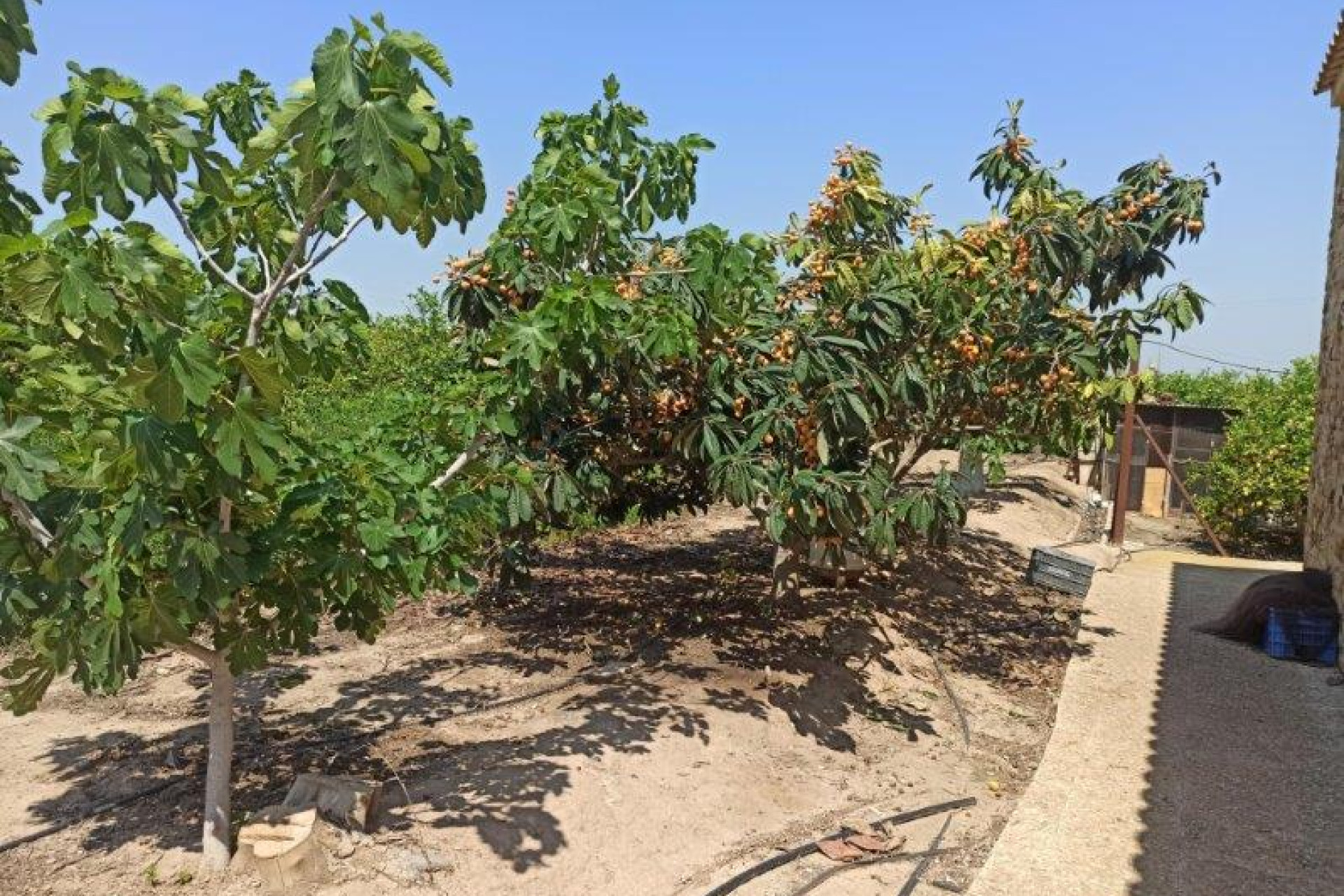 Herverkoop - 7. Finca / landhuis - San Miguel de Salinas - Costa Blanca Zuid