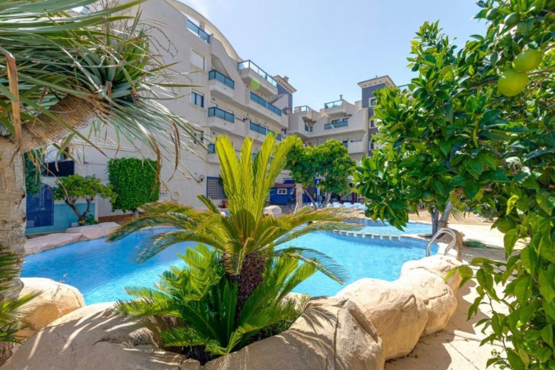 Herverkoop - Appartement - Cabo Roig - Orihuela Costa