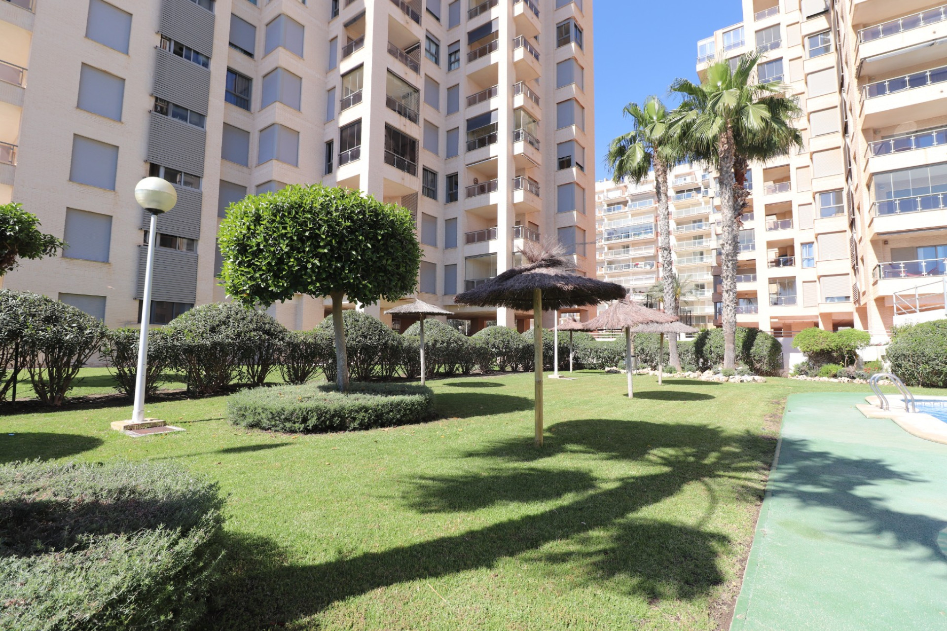 Herverkoop - Appartement - Guardamar del Segura - Guardamar