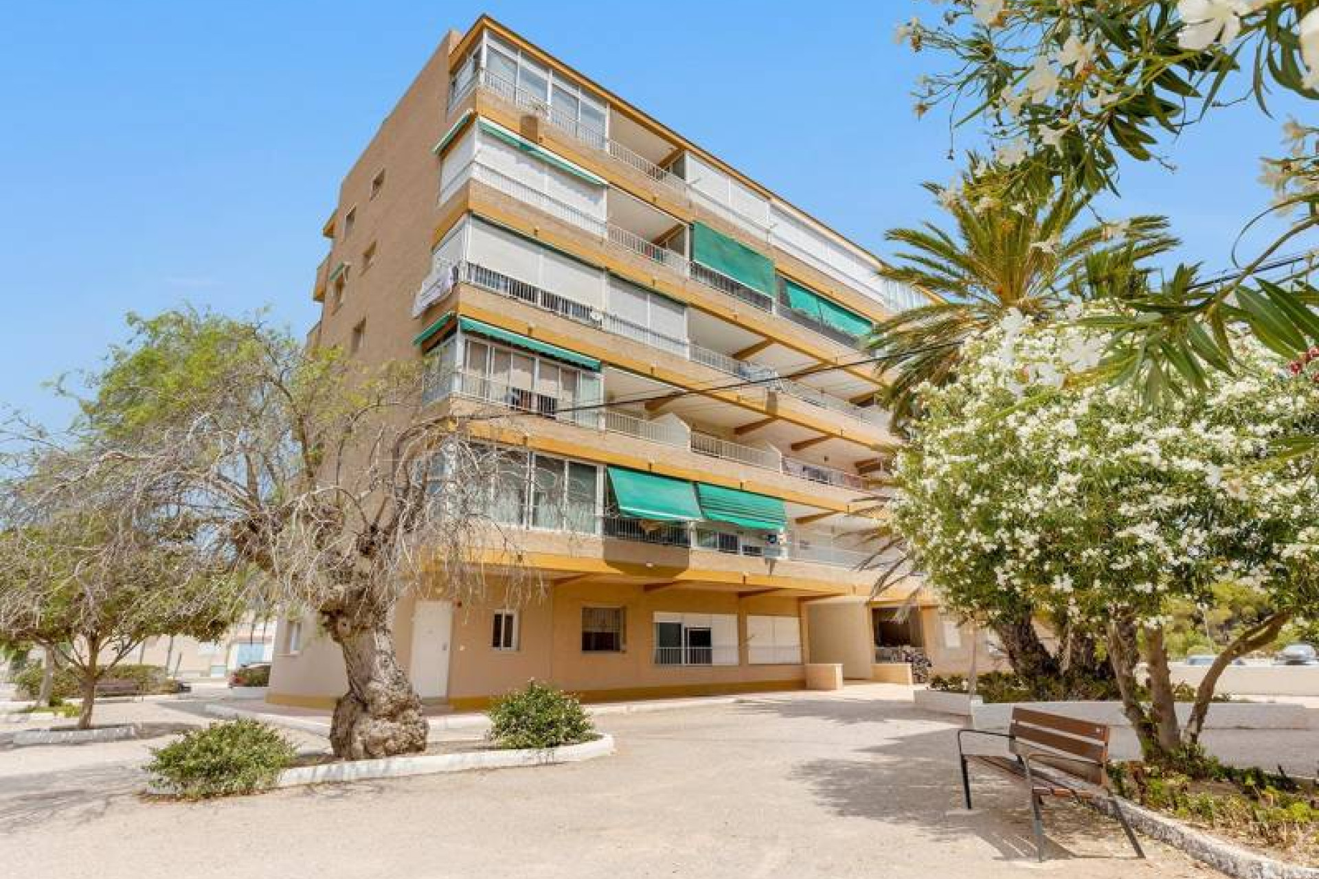 Herverkoop - Appartement - Guardamar del Segura - Guardamar