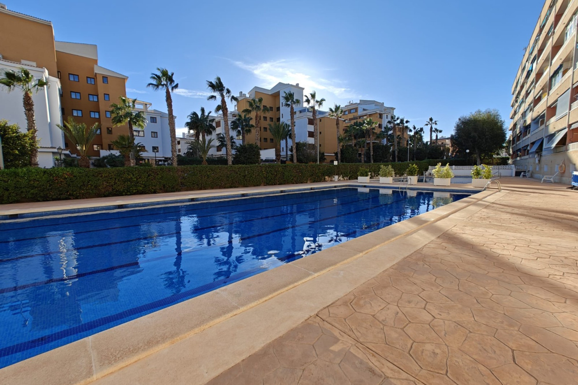 Herverkoop - Appartement - Orihuela Costa